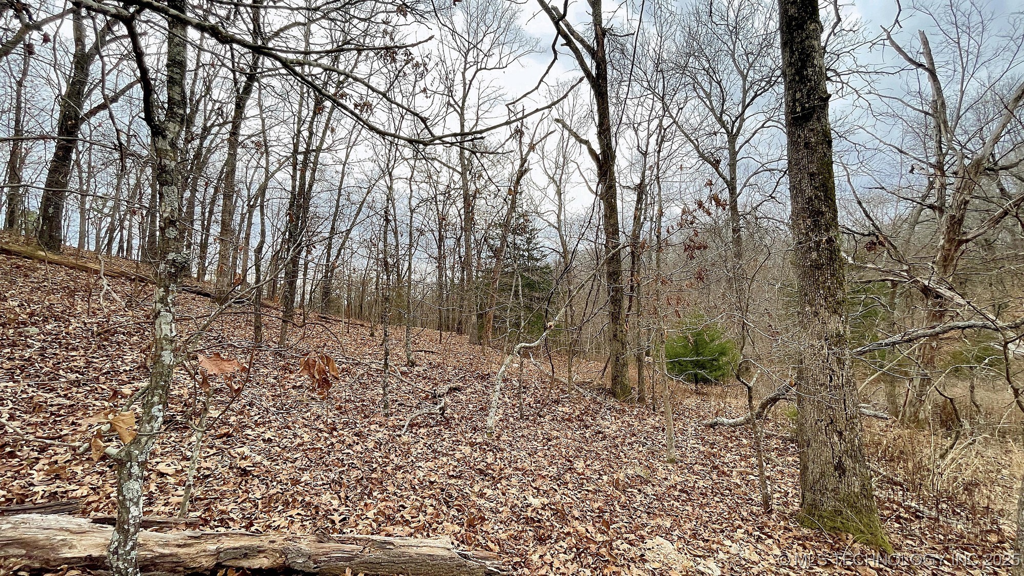 288 Crossroads Drive Property Photo 12