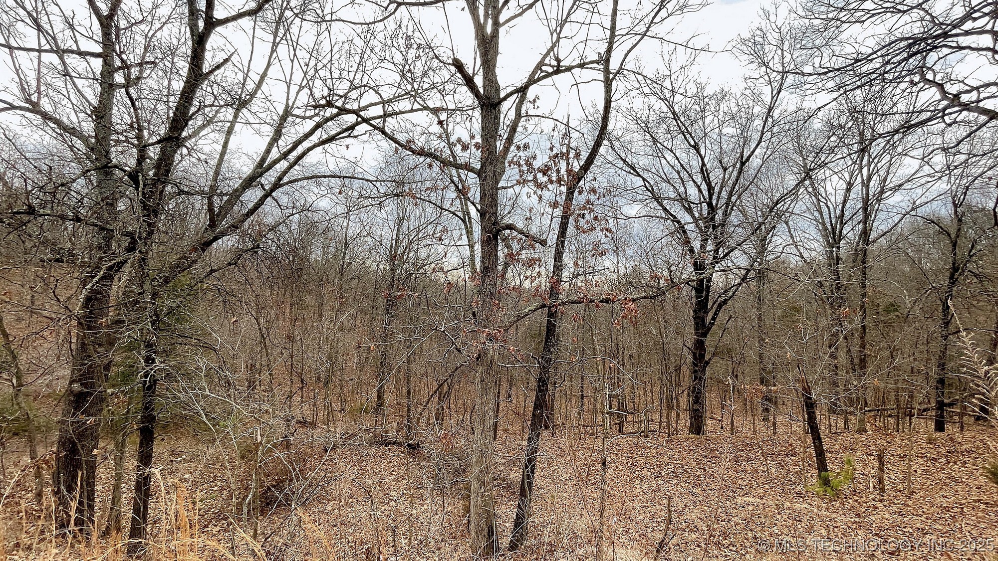 288 Crossroads Drive Property Photo 15