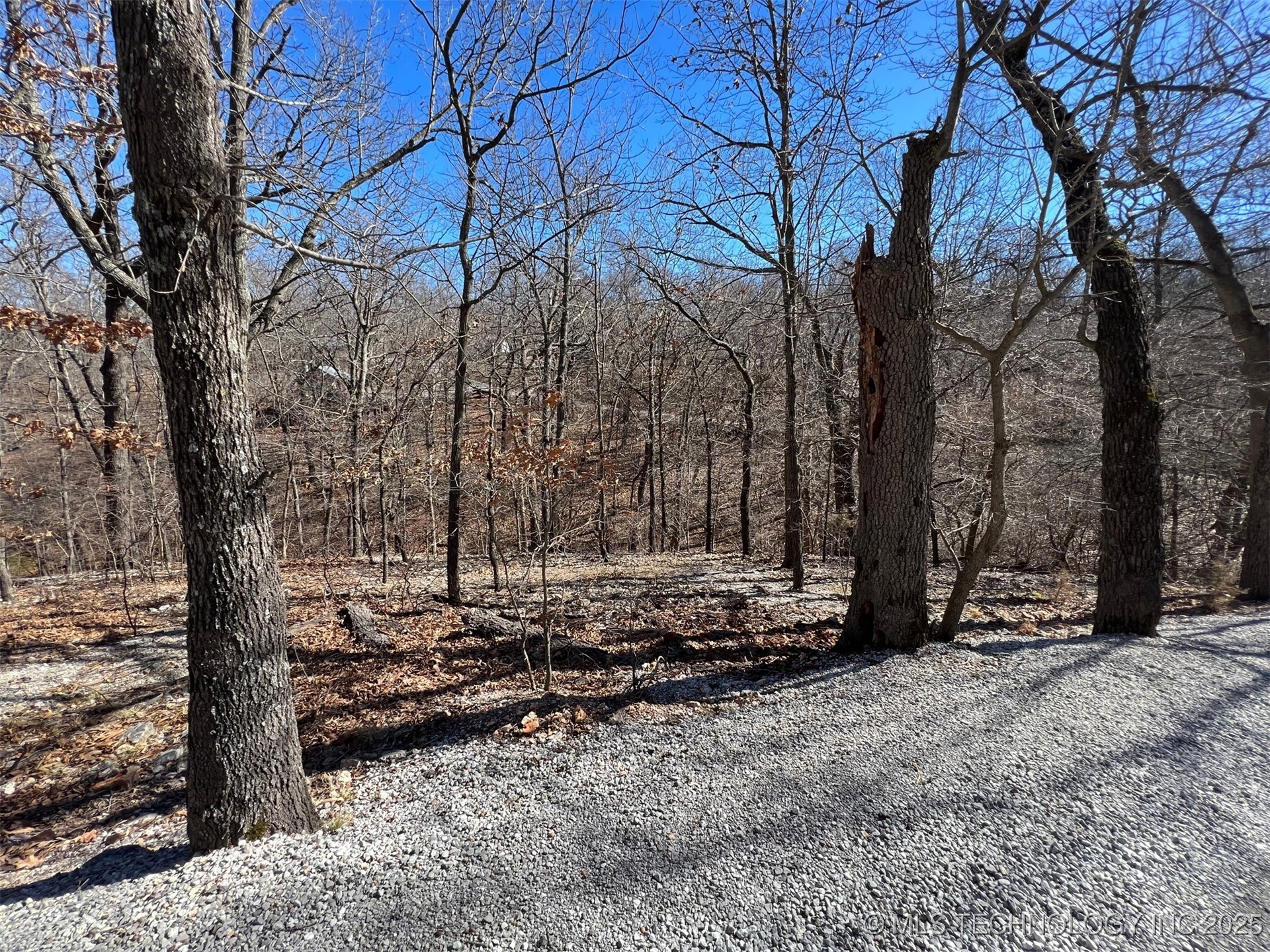33403 S Old Mill Road Property Photo 9