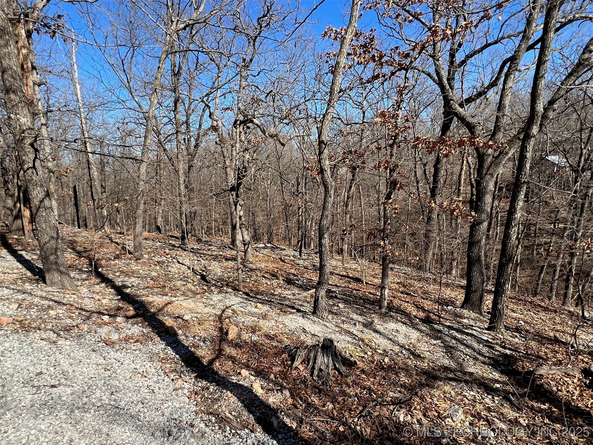 33403 S Old Mill Road Property Photo 11