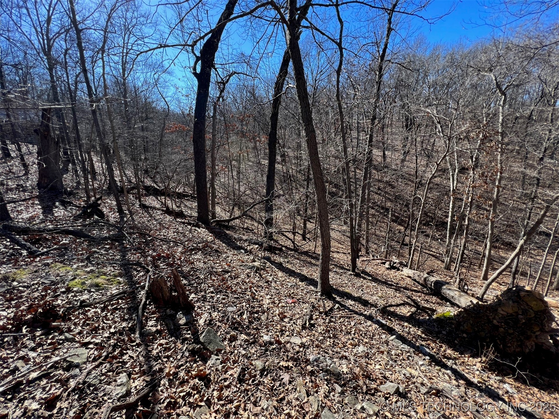 33403 S Old Mill Road Property Photo 22