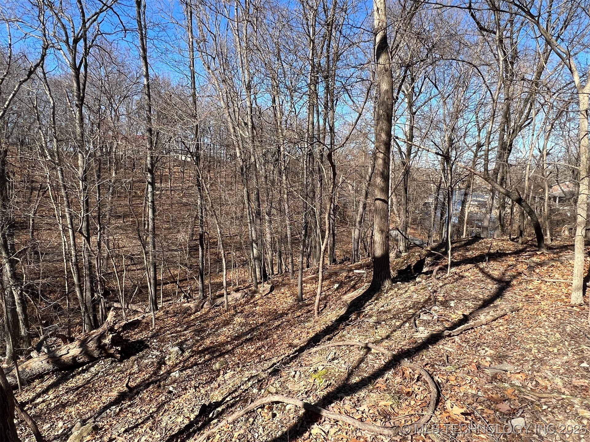 33403 S Old Mill Road Property Photo 23