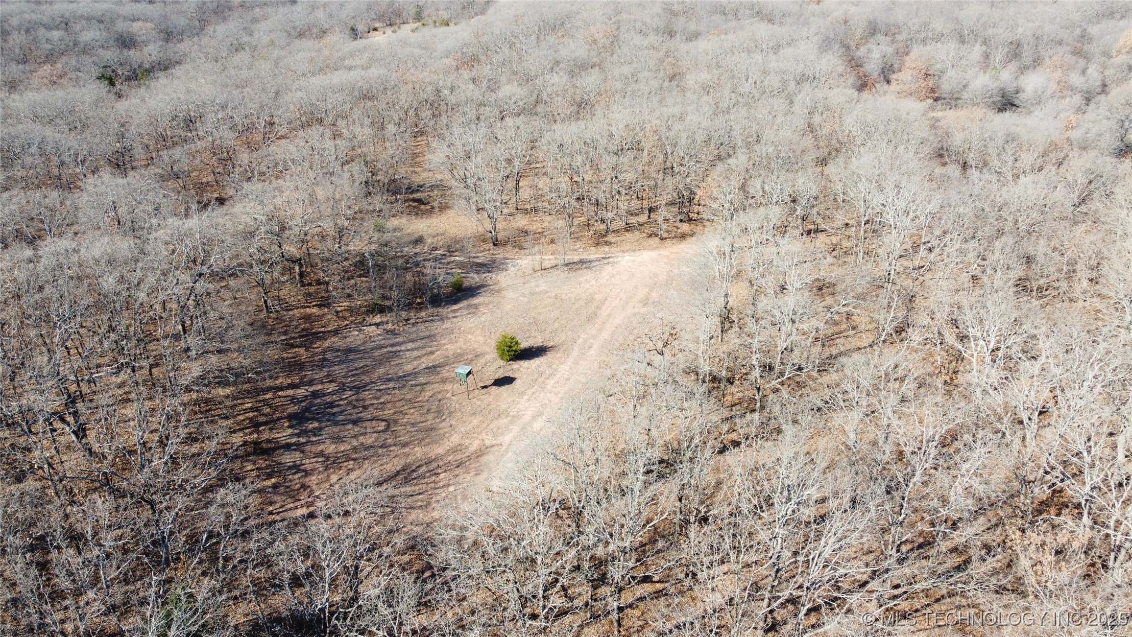 3660 Country Road Property Photo 4