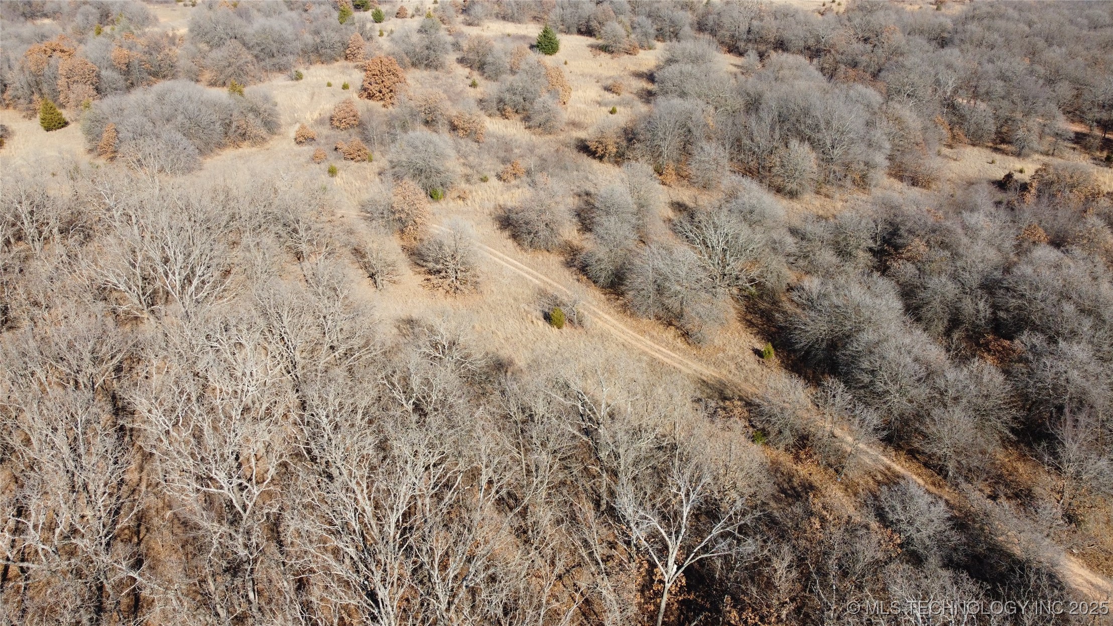 3660 Country Road Property Photo 5
