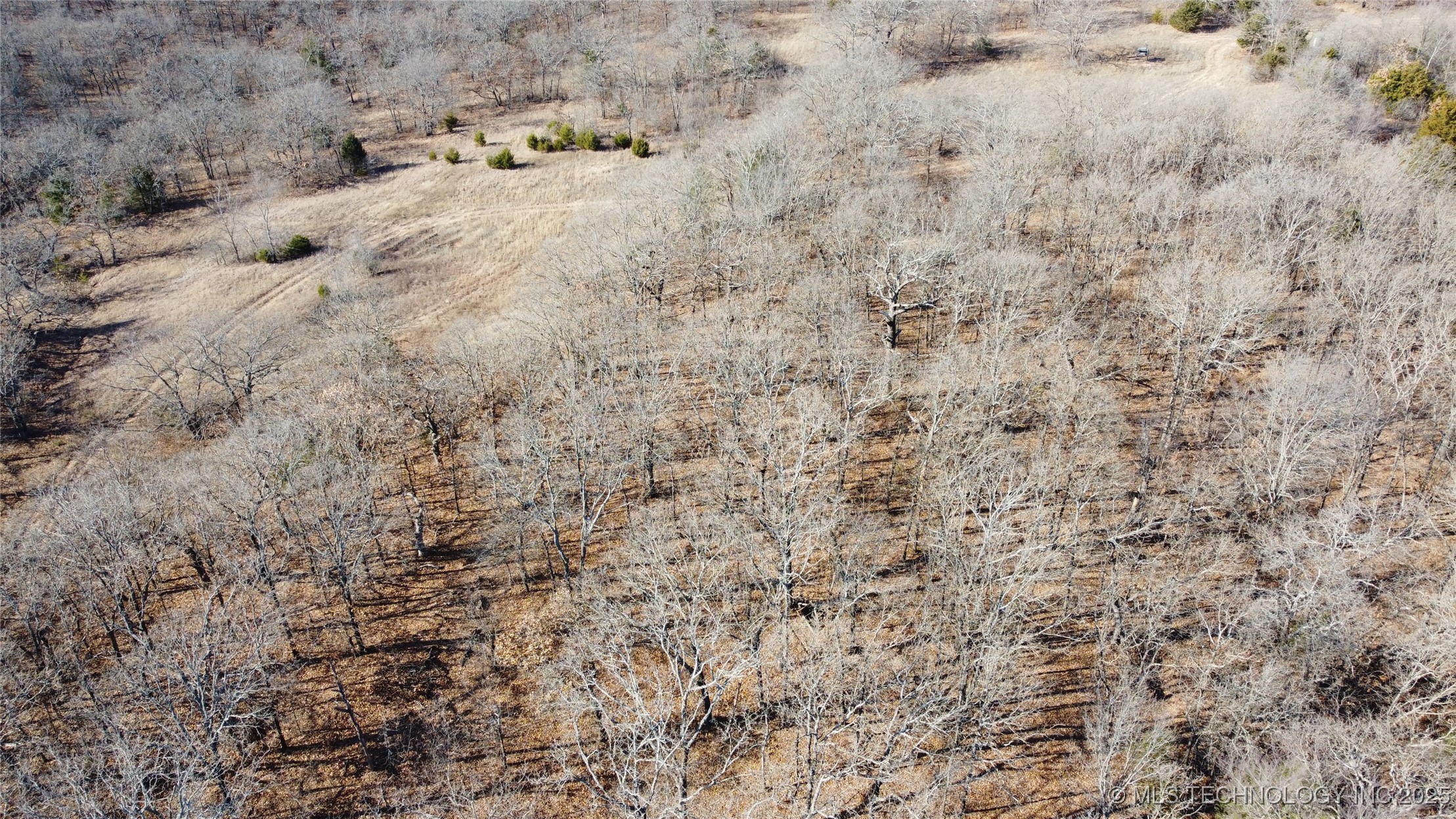3660 Country Road Property Photo 7