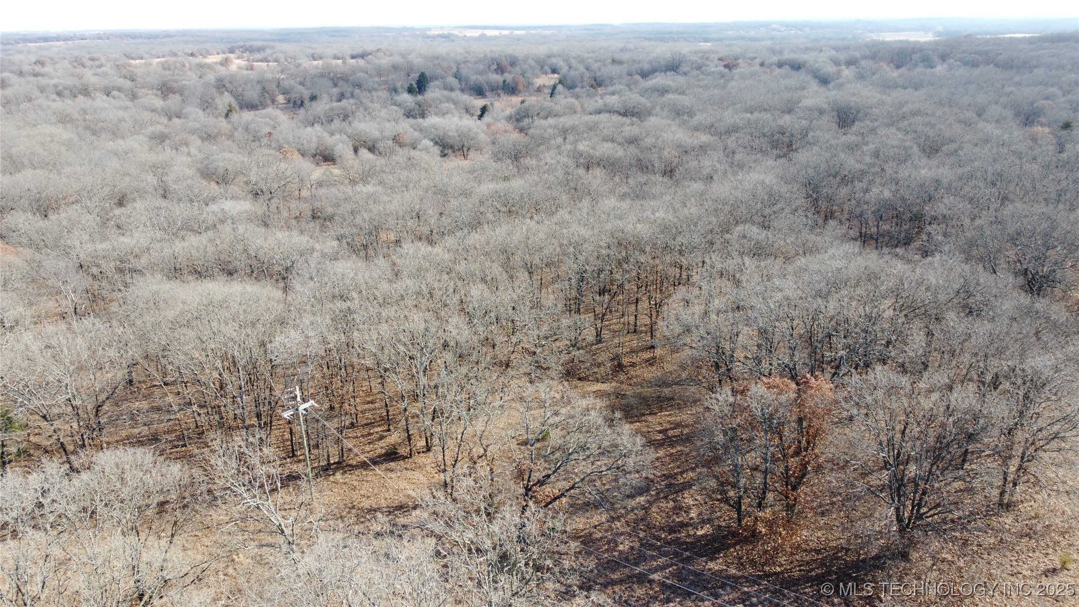 3660 Country Road Property Photo 19