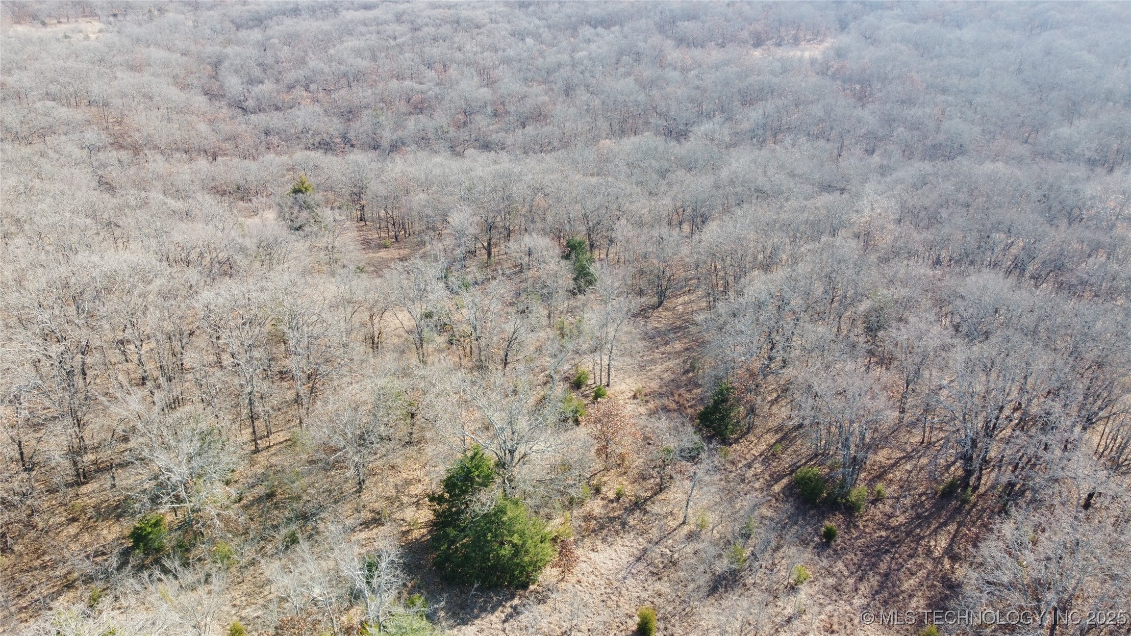 3660 Country Road Property Photo 21