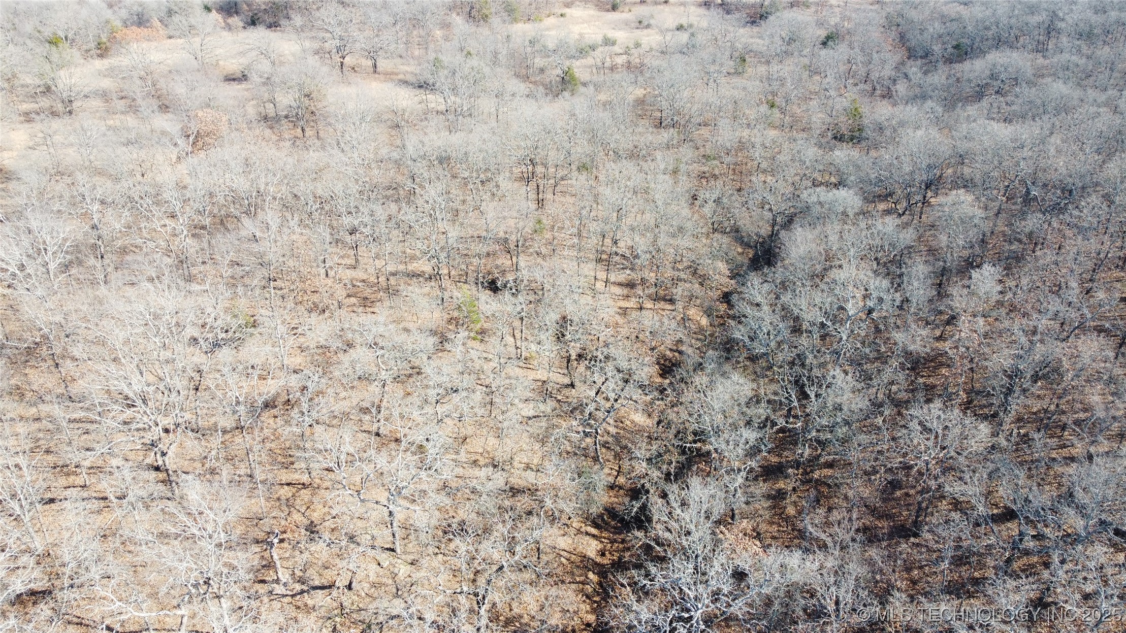 3660 Country Road Property Photo 23