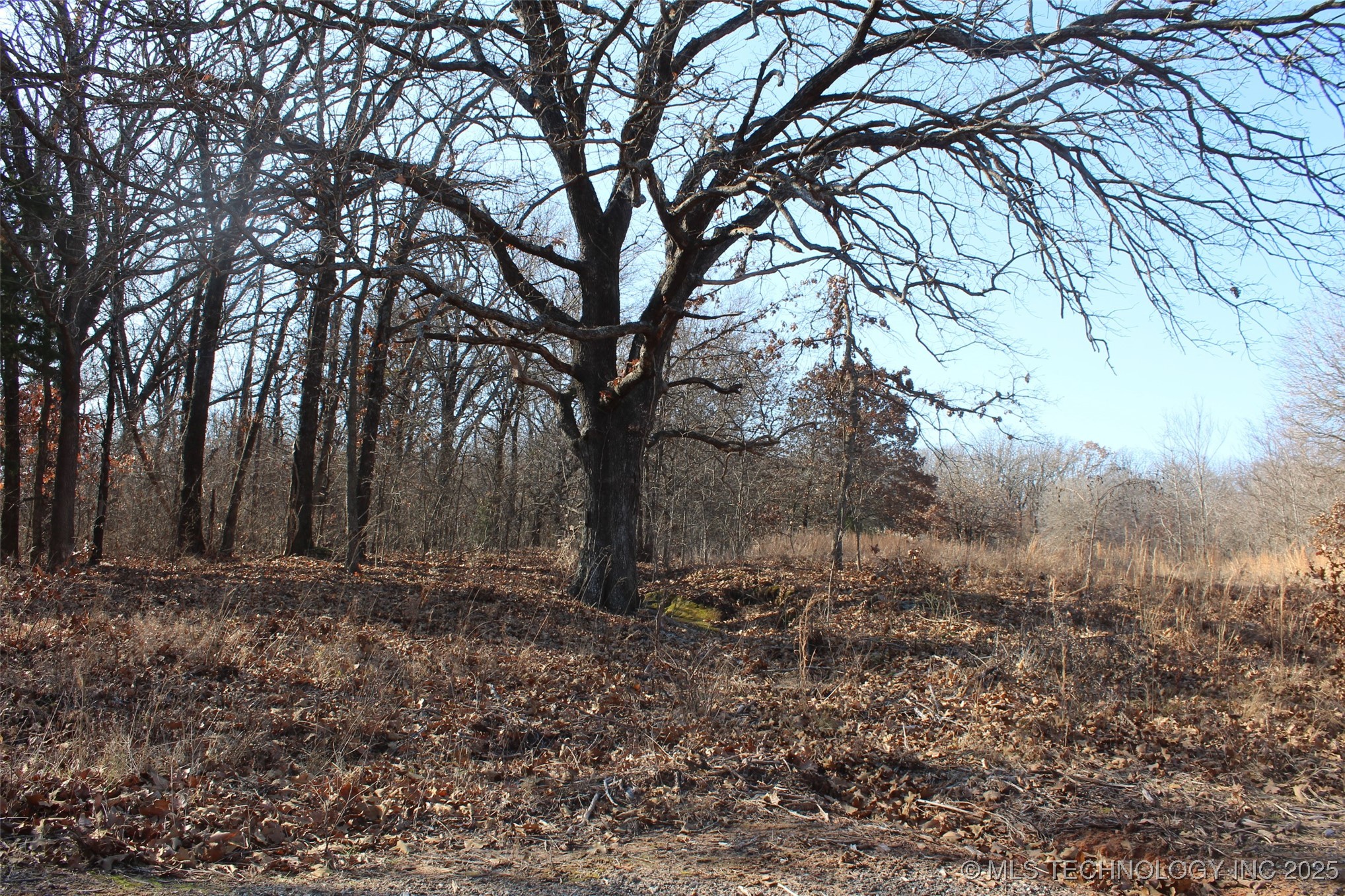 3660 Country Road Property Photo 28
