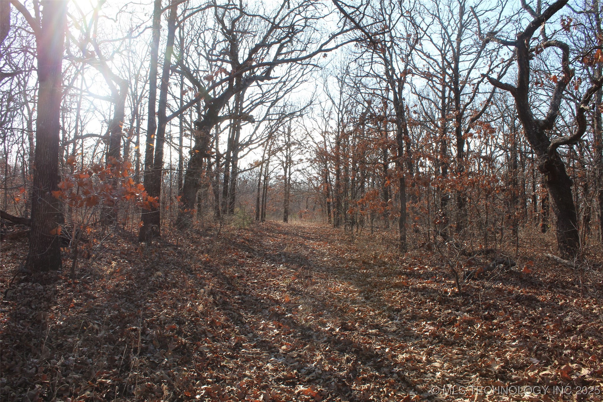 3660 Country Road Property Photo 32