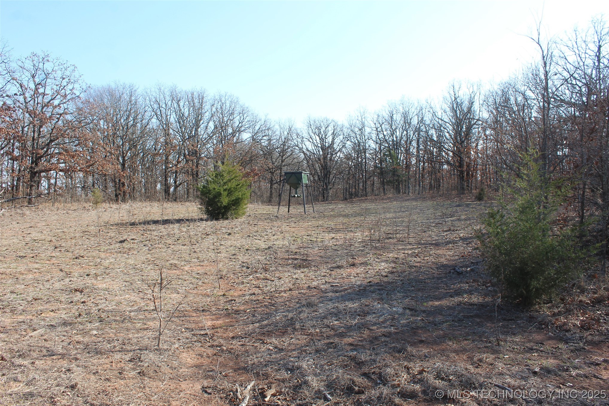 3660 Country Road Property Photo 33