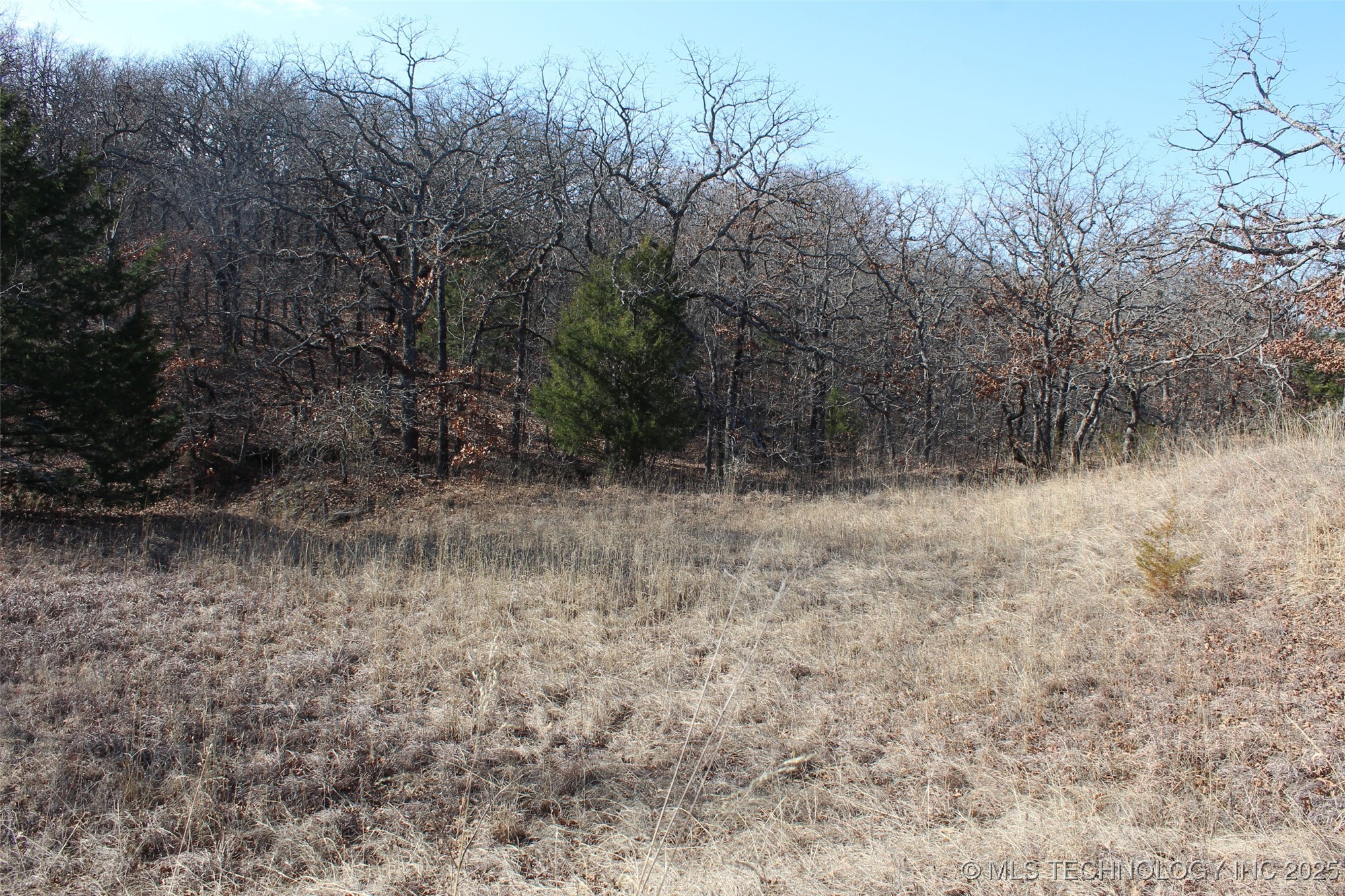 3660 Country Road Property Photo 35