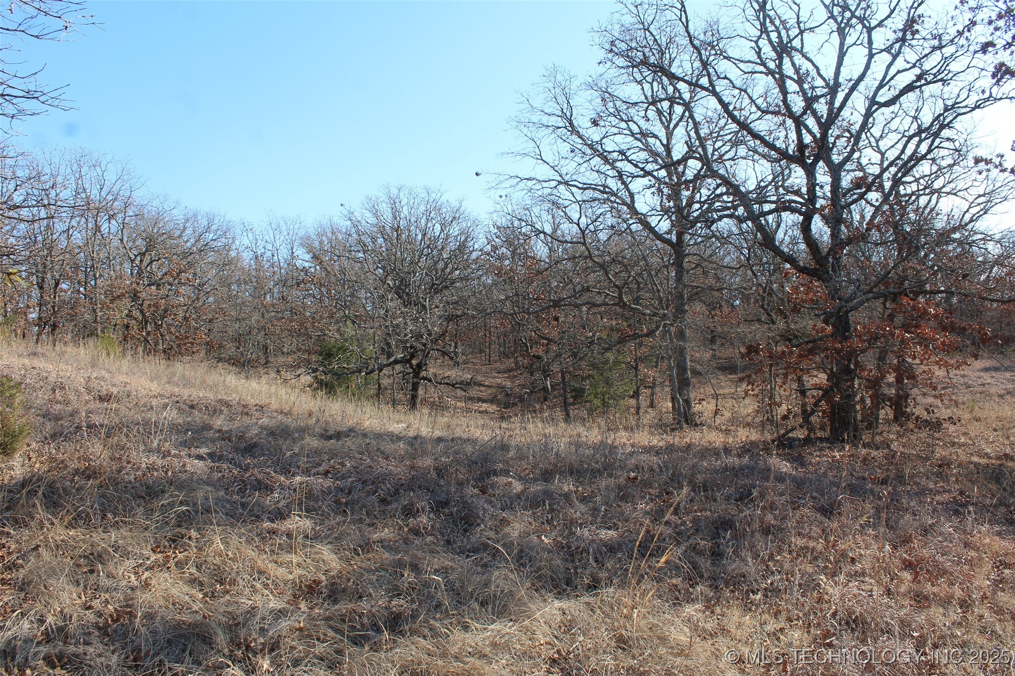 3660 Country Road Property Photo 36