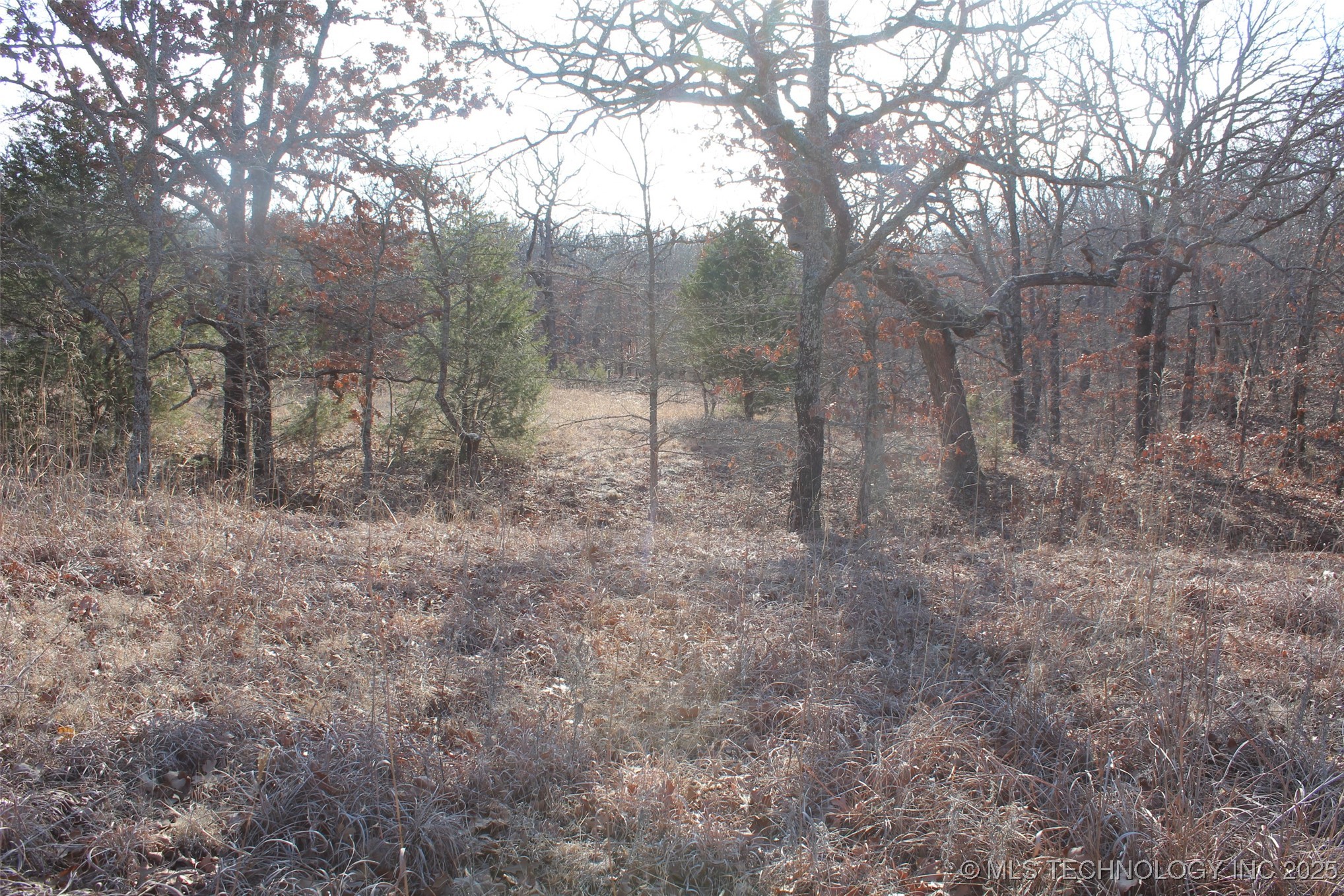 3660 Country Road Property Photo 37