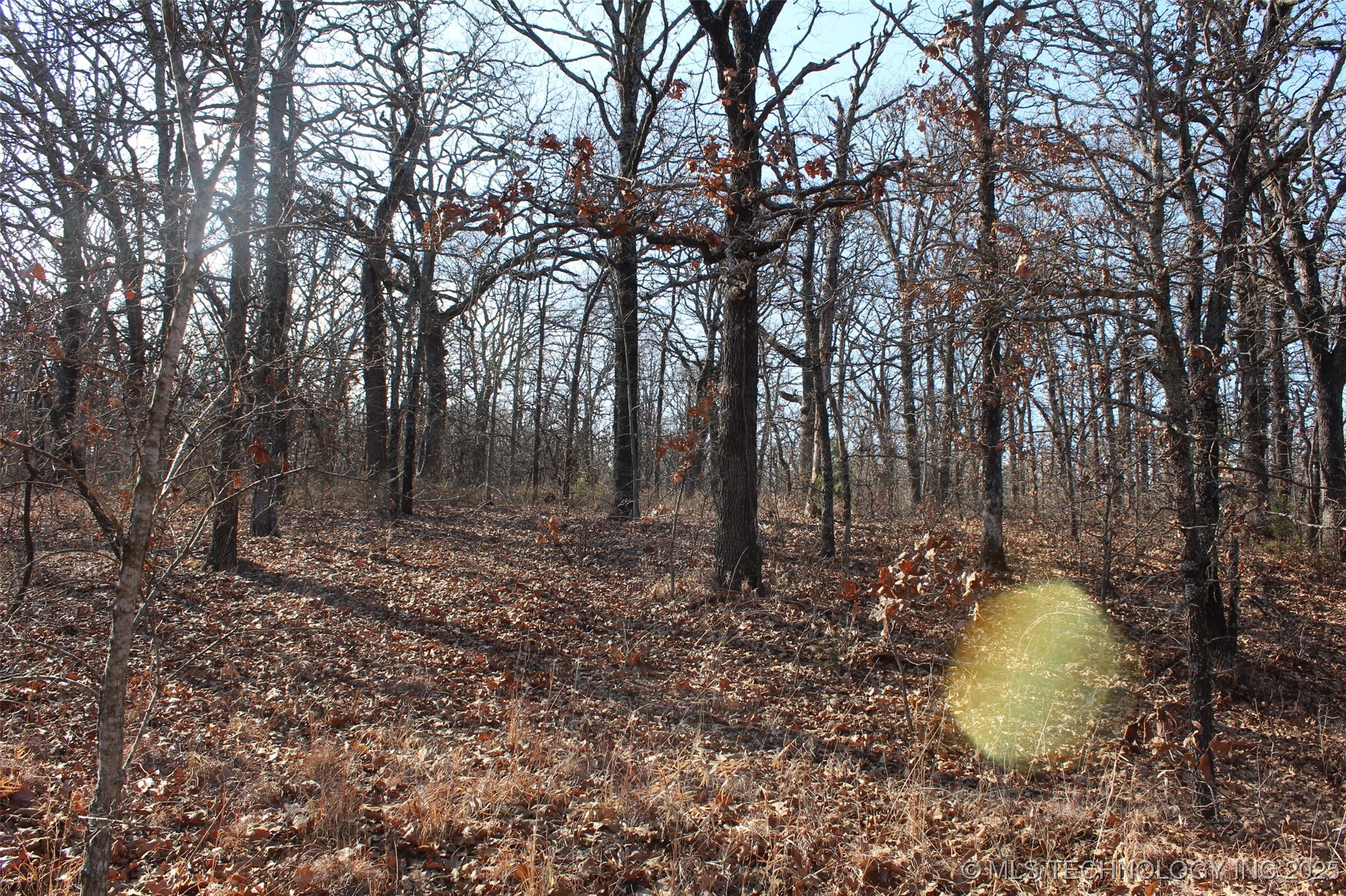 3660 Country Road Property Photo 38