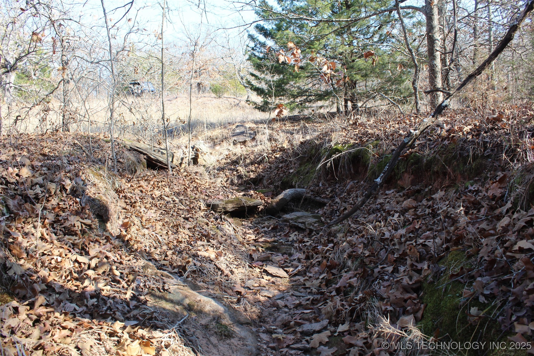 3660 Country Road Property Photo 39