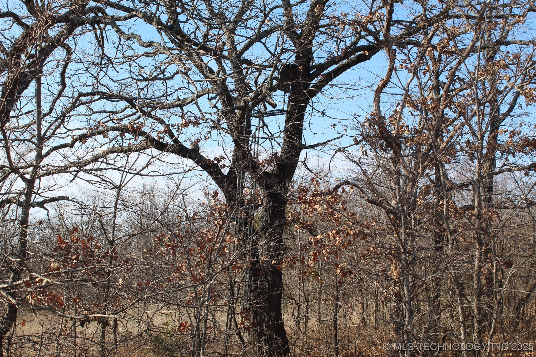 3660 Country Road Property Photo 42