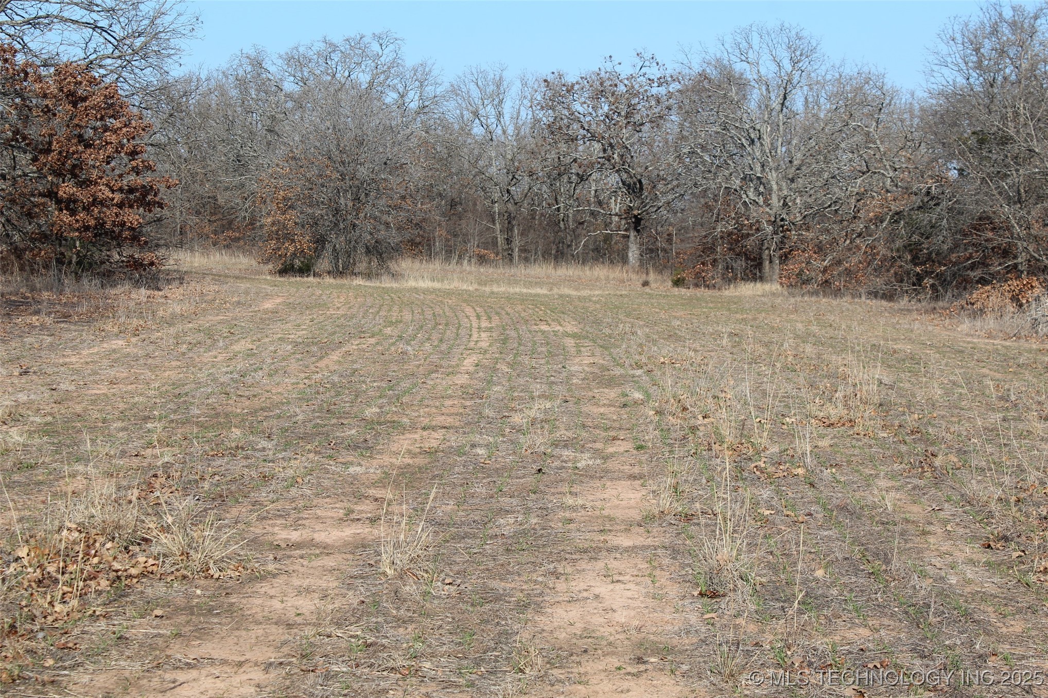 3660 Country Road Property Photo 43