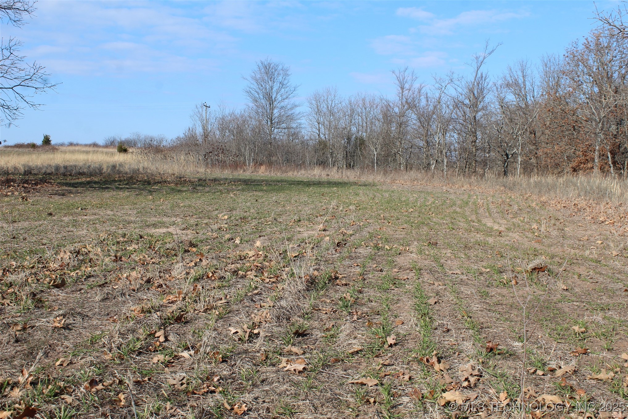 3660 Country Road Property Photo 46