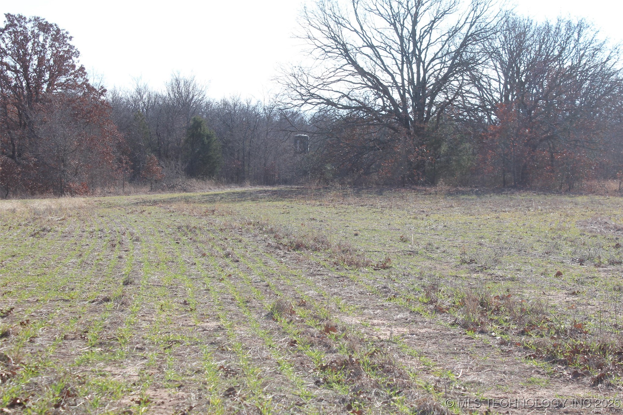 3660 Country Road Property Photo 47