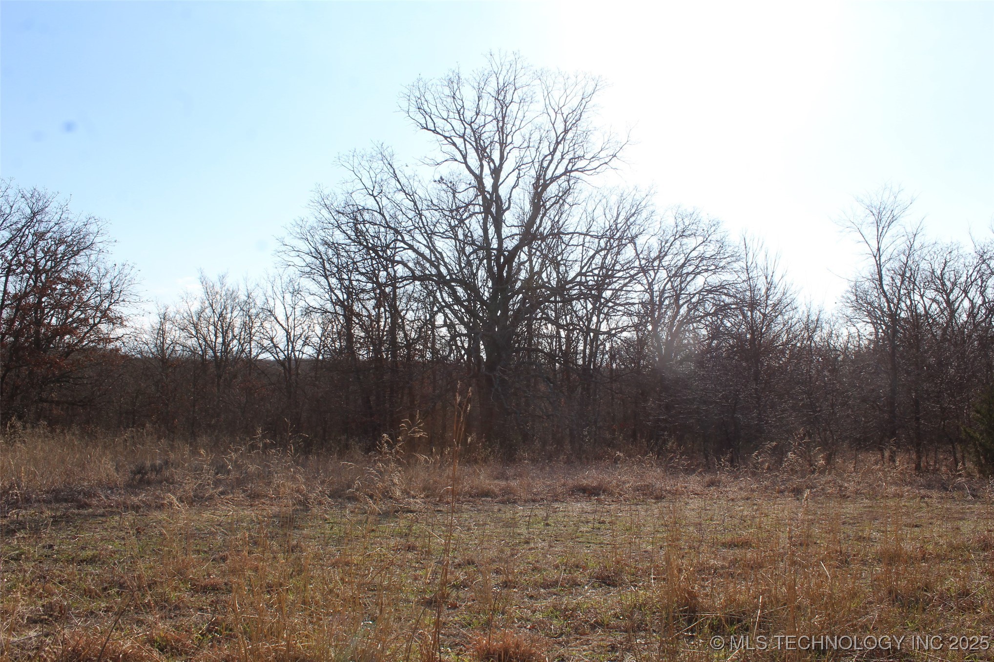 3660 Country Road Property Photo 48