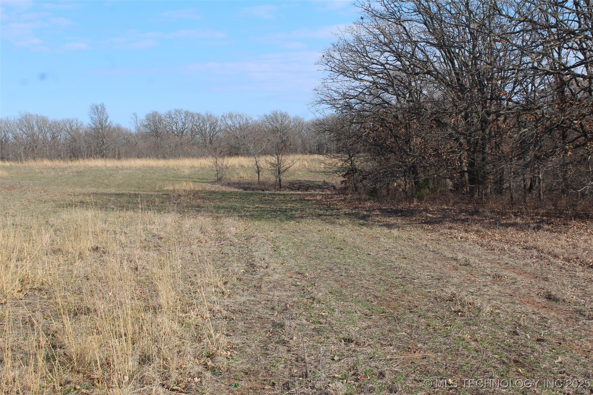 3660 Country Road Property Photo 49