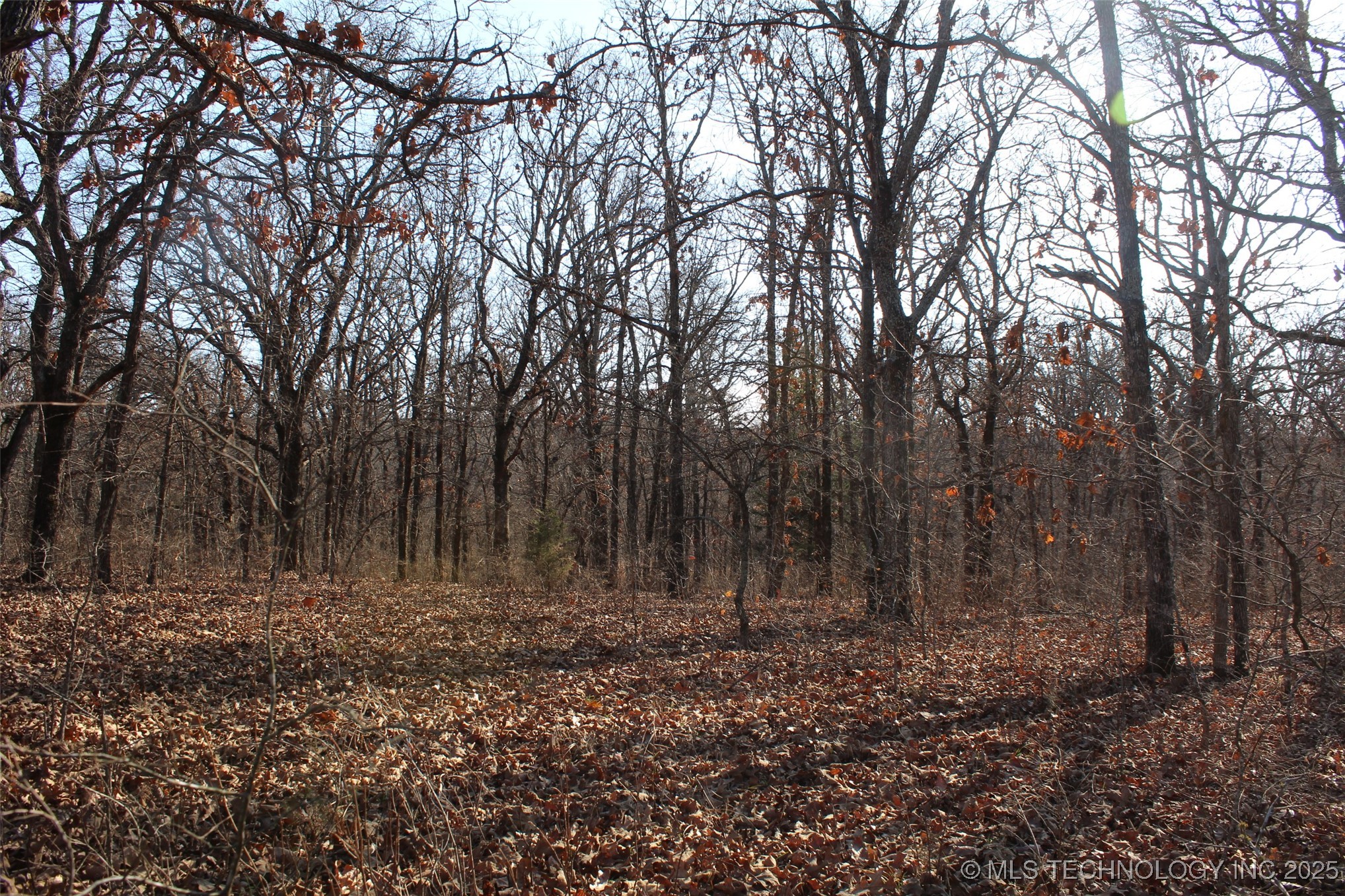 3660 Country Road Property Photo 50