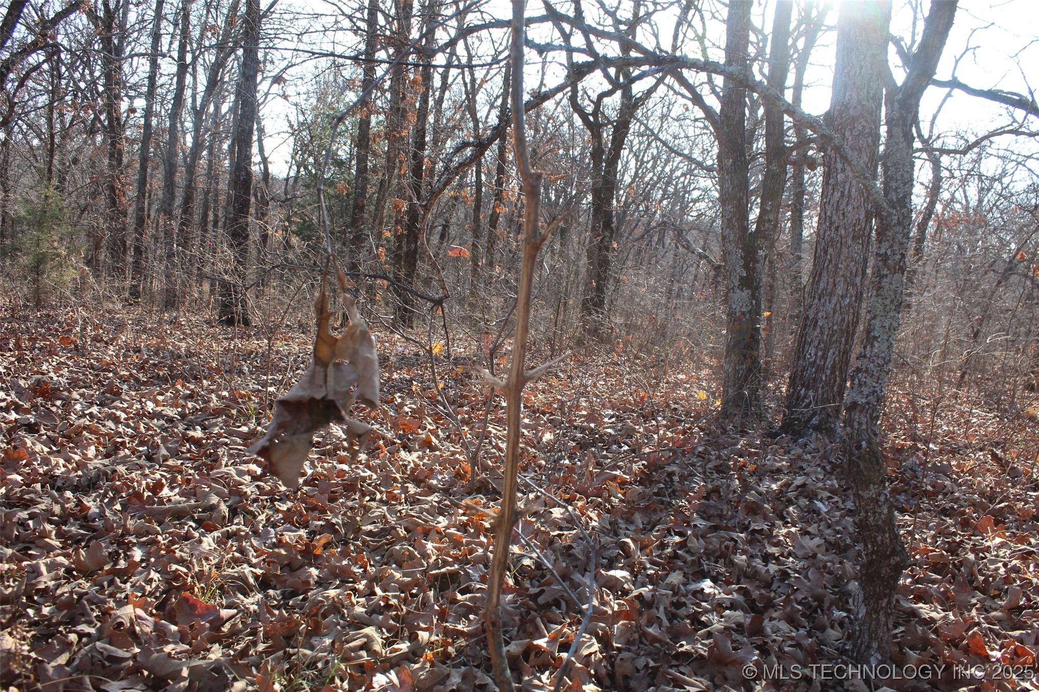 3660 Country Road Property Photo 51