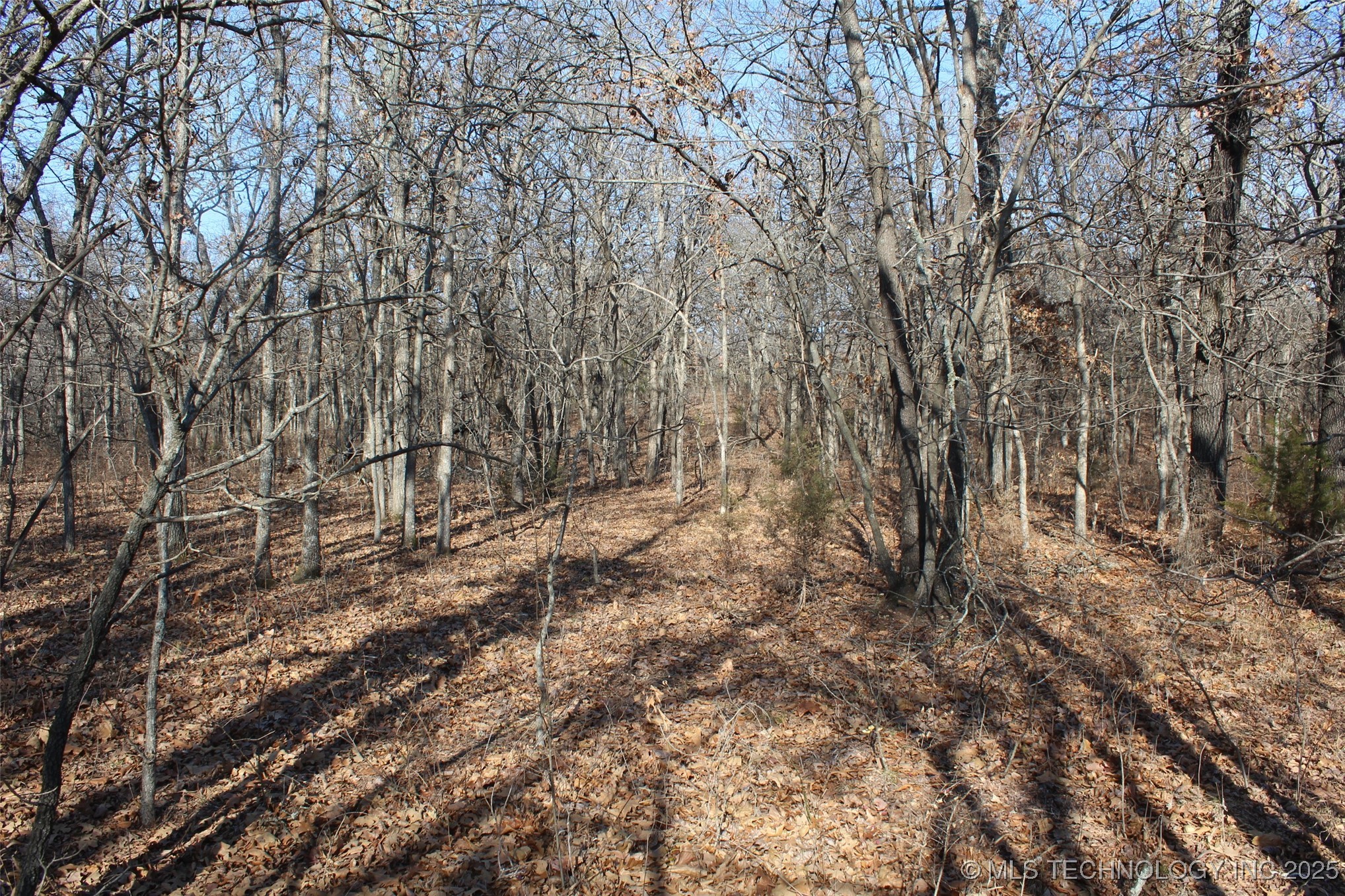 3660 Country Road Property Photo 52