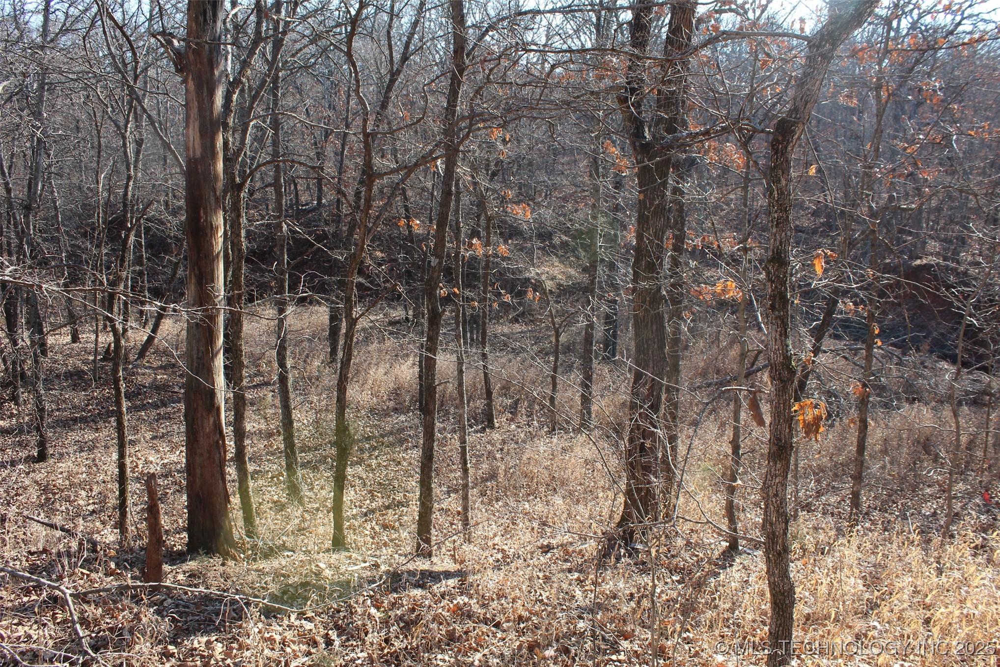 3660 Country Road Property Photo 54