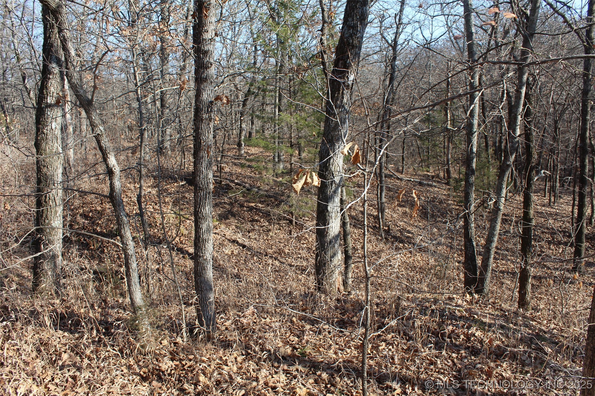 3660 Country Road Property Photo 55