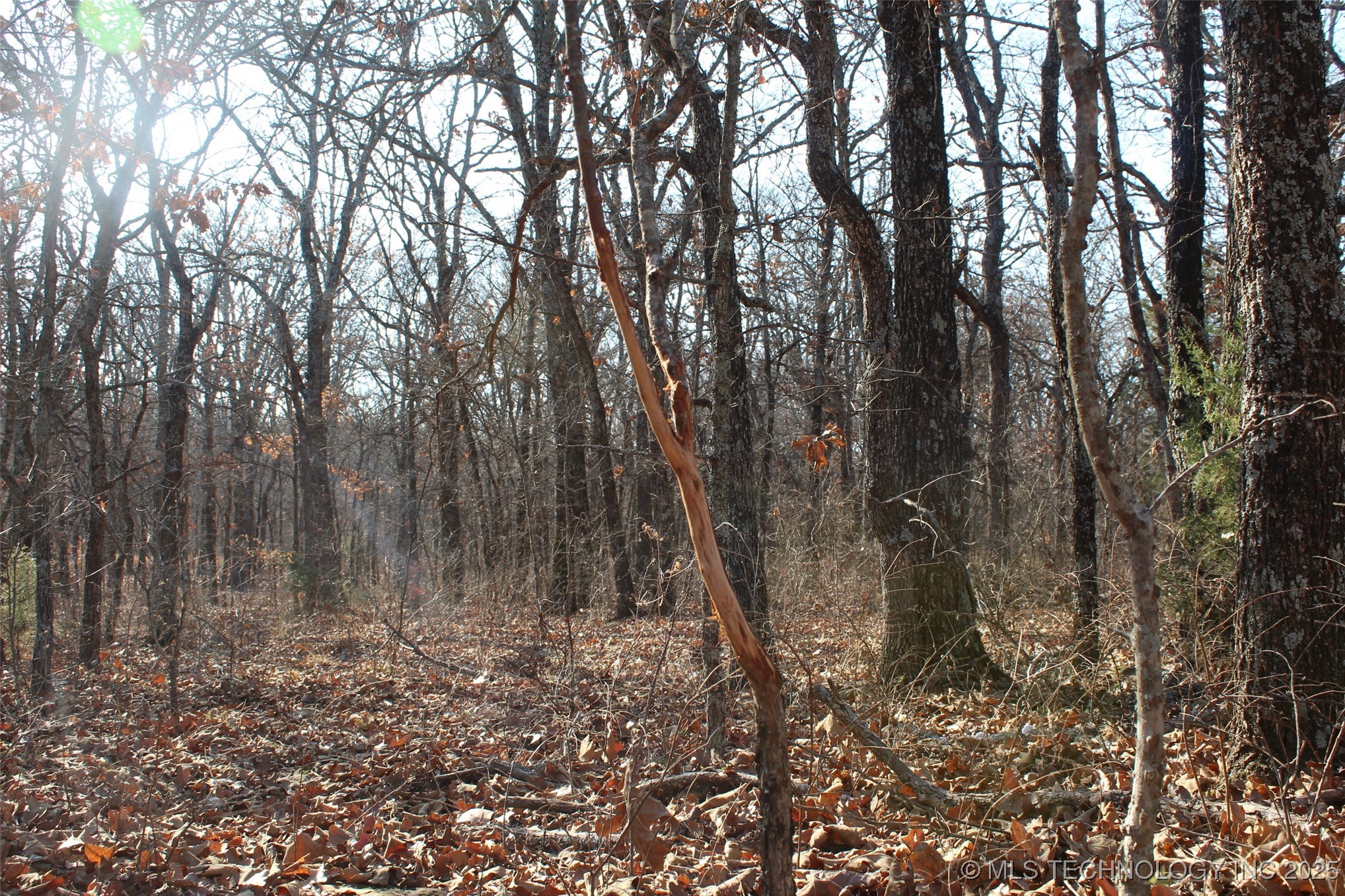 3660 Country Road Property Photo 56