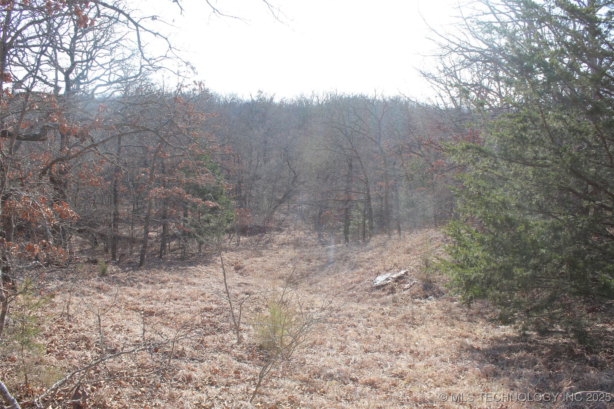3660 Country Road Property Photo 57