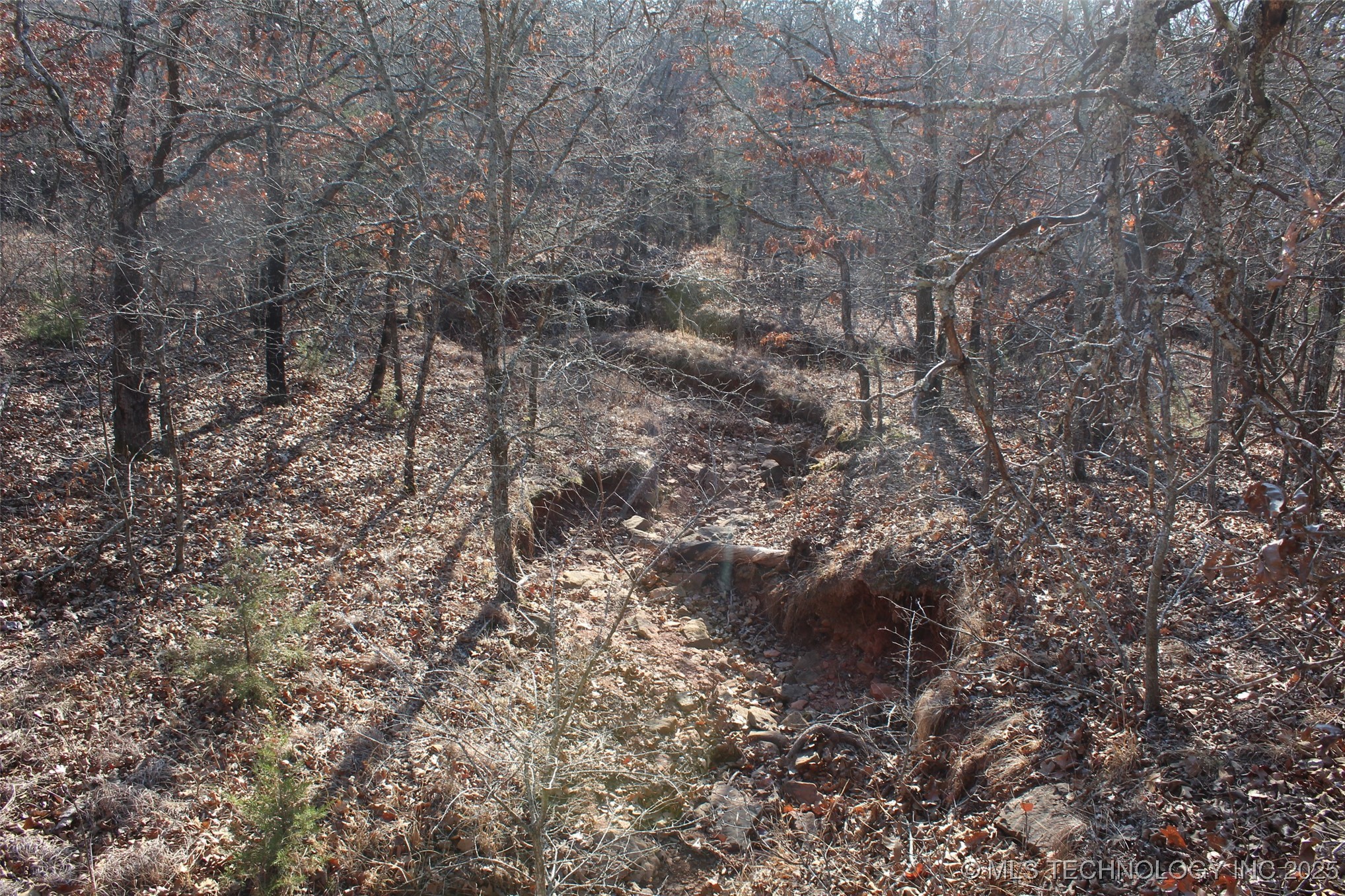 3660 Country Road Property Photo 58