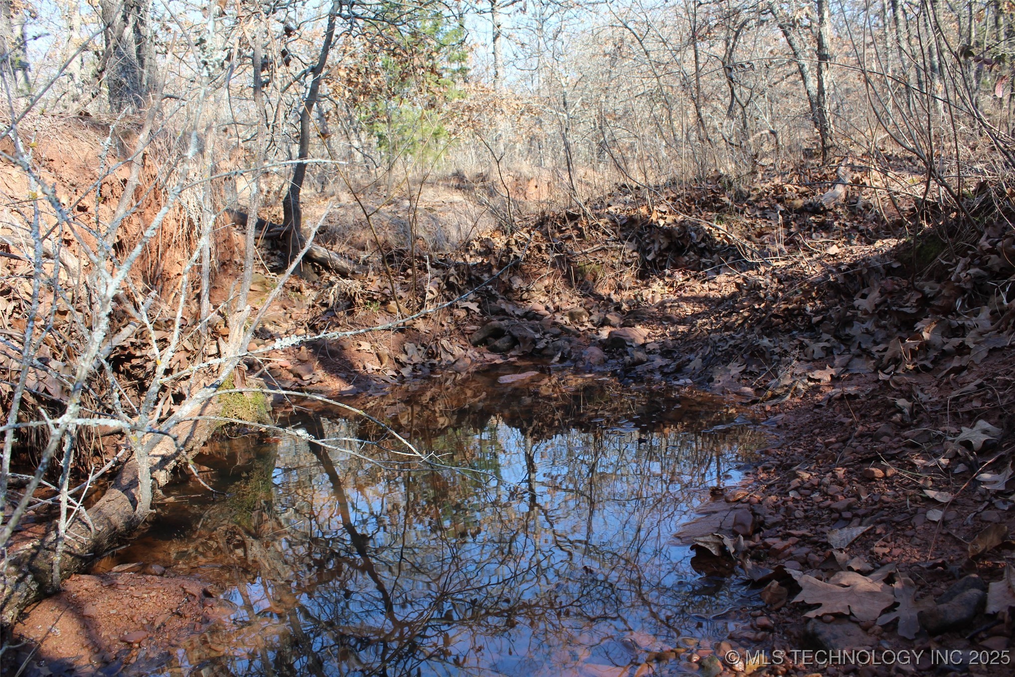 3660 Country Road Property Photo 59