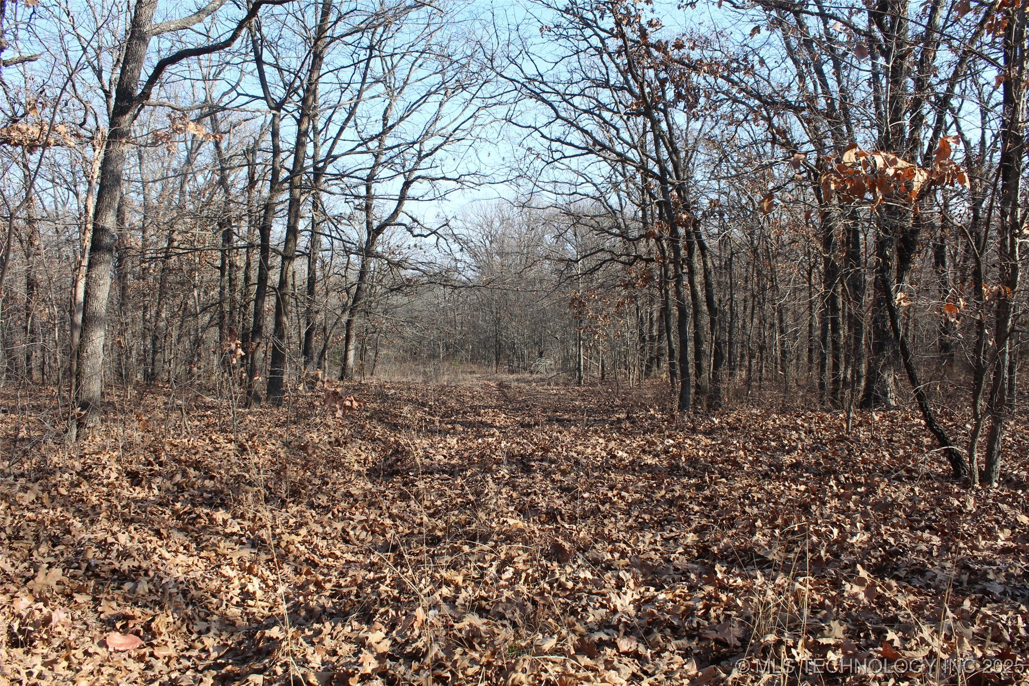 3660 Country Road Property Photo 62