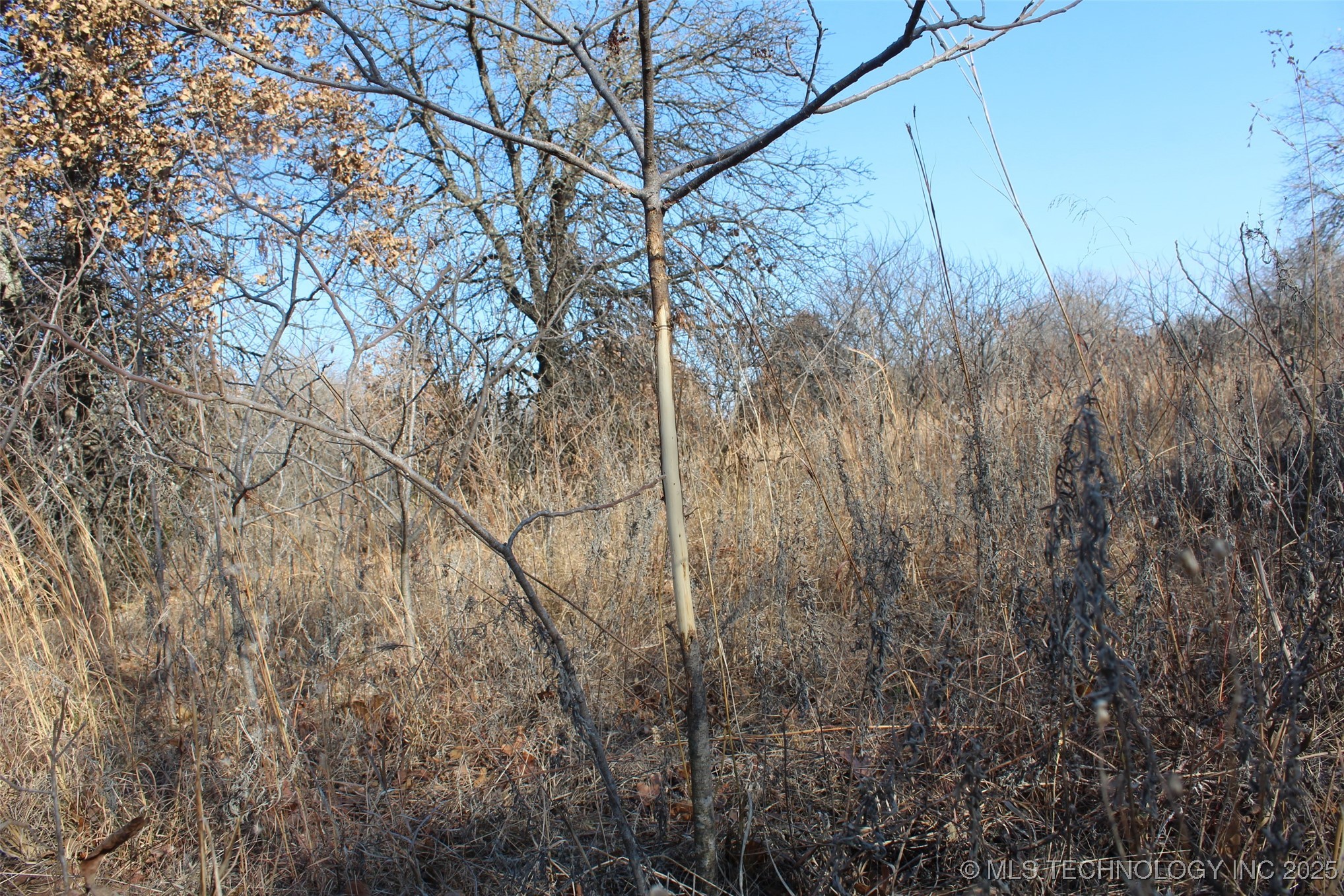 3660 Country Road Property Photo 63