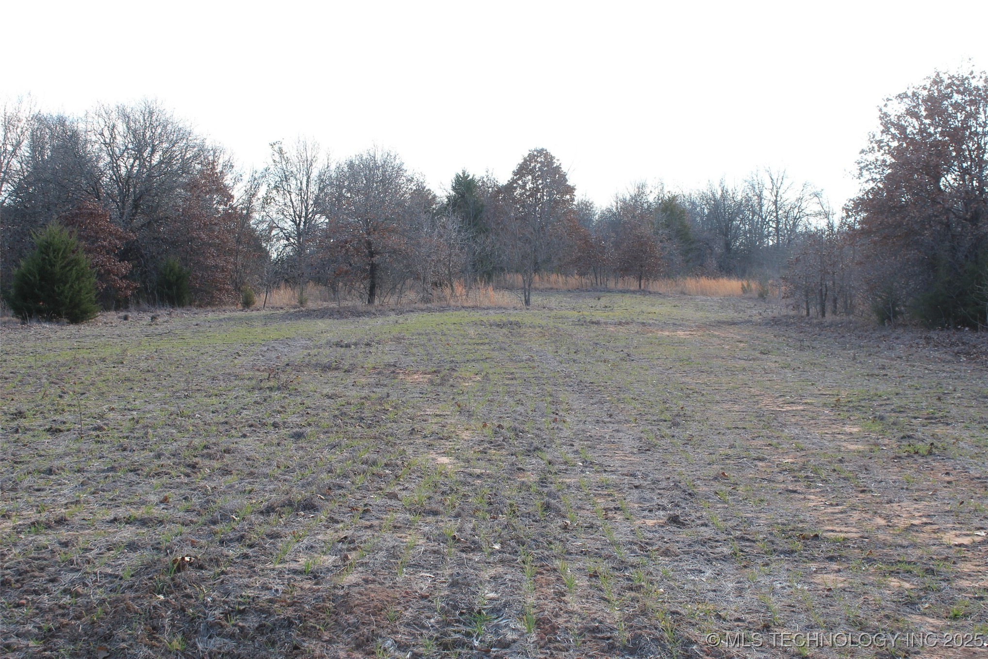 3660 Country Road Property Photo 66