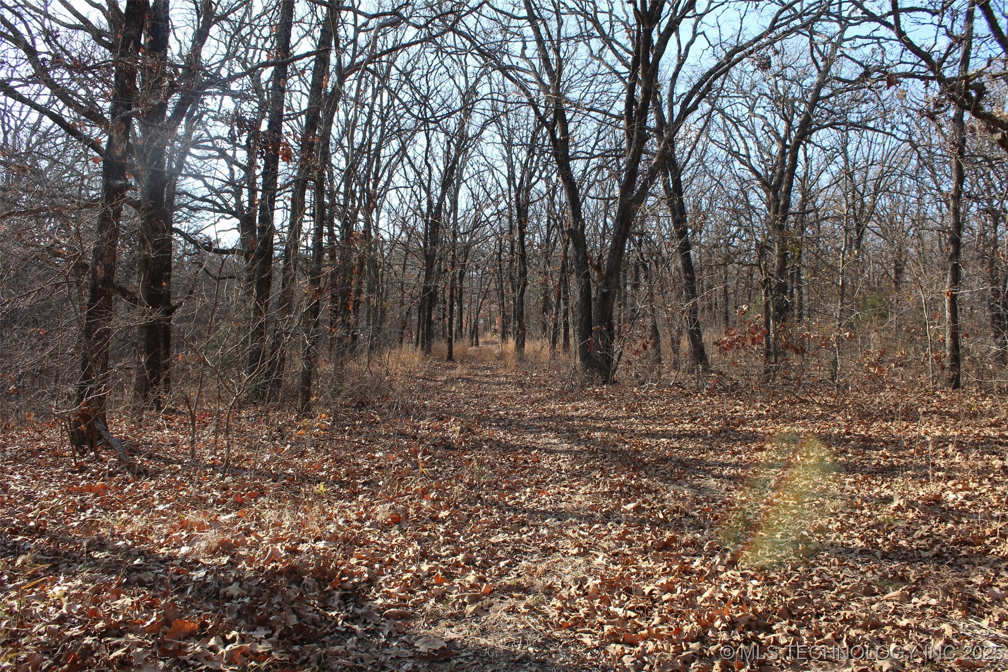 3660 Country Road Property Photo 67
