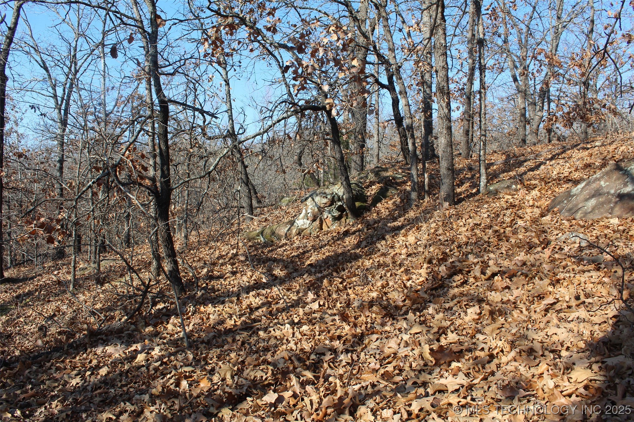 3660 Country Road Property Photo 70
