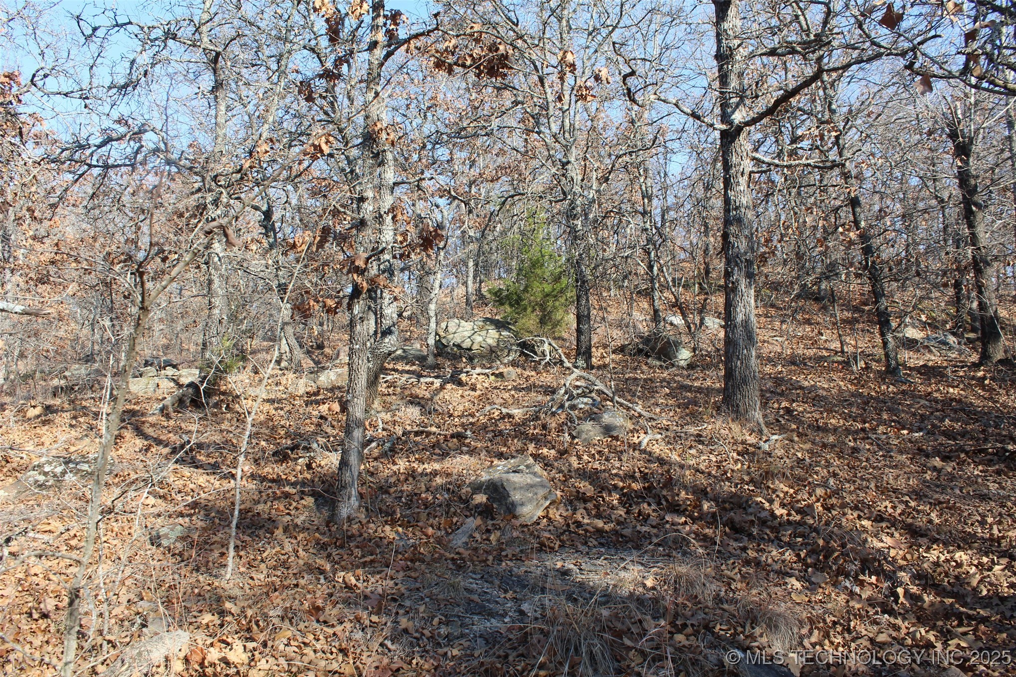 3660 Country Road Property Photo 73
