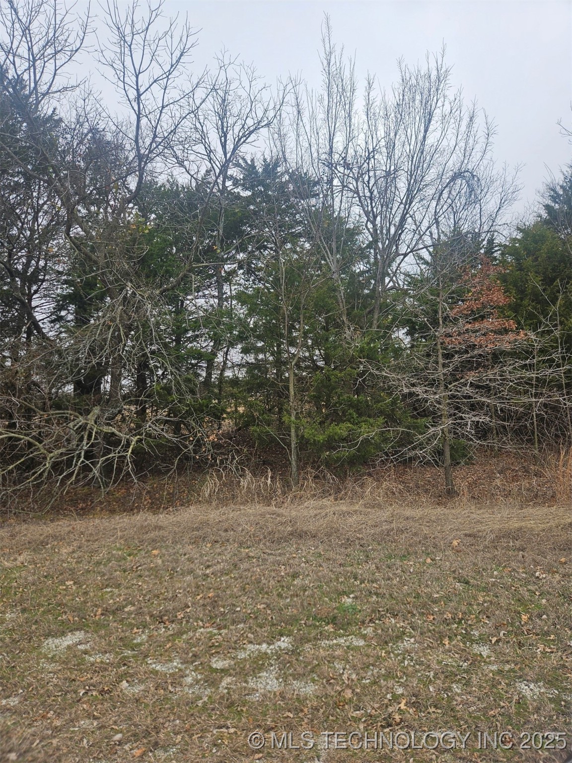 Red River Property Photo 3