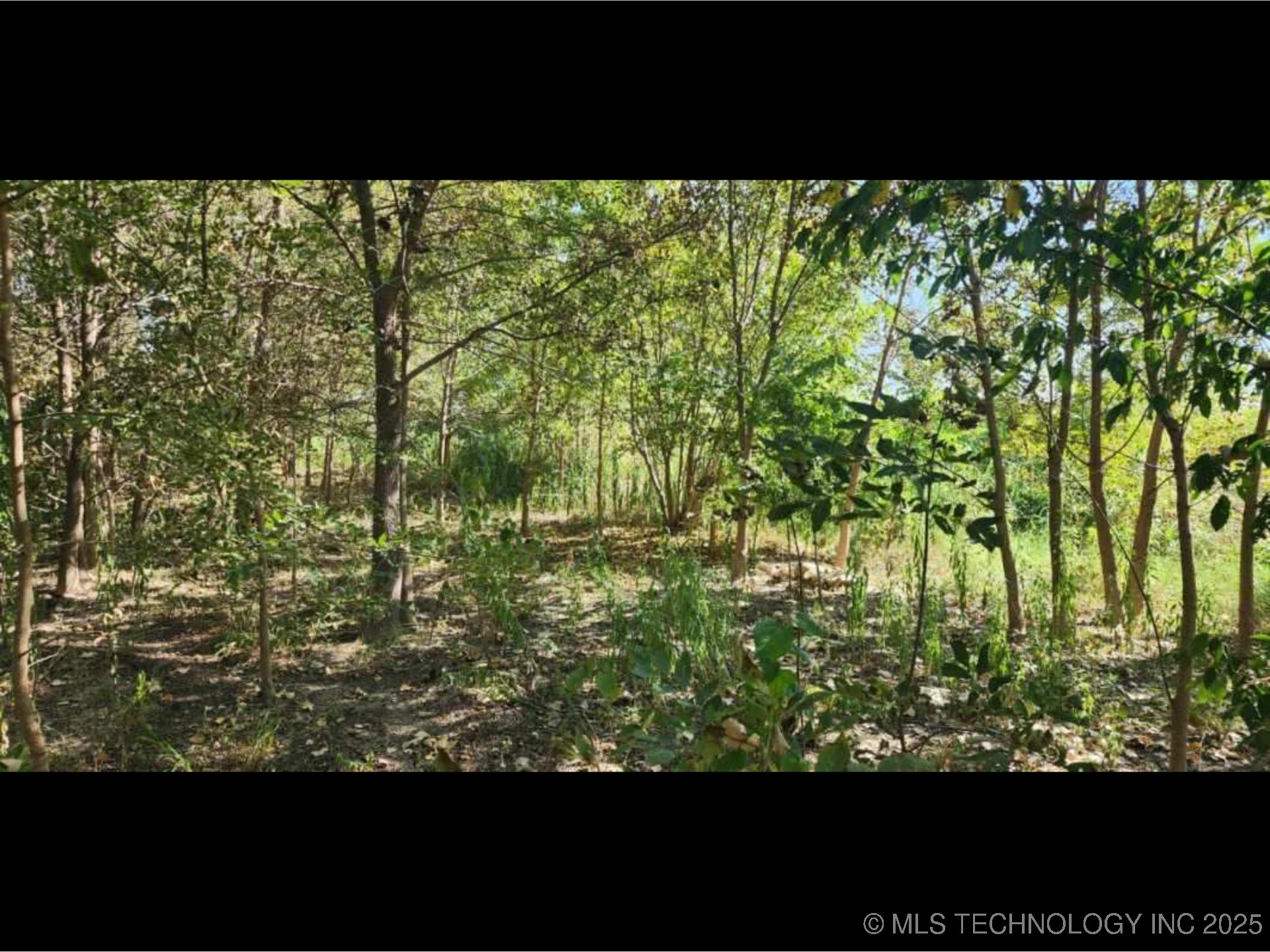 1800 S Haynie Street Property Photo 9