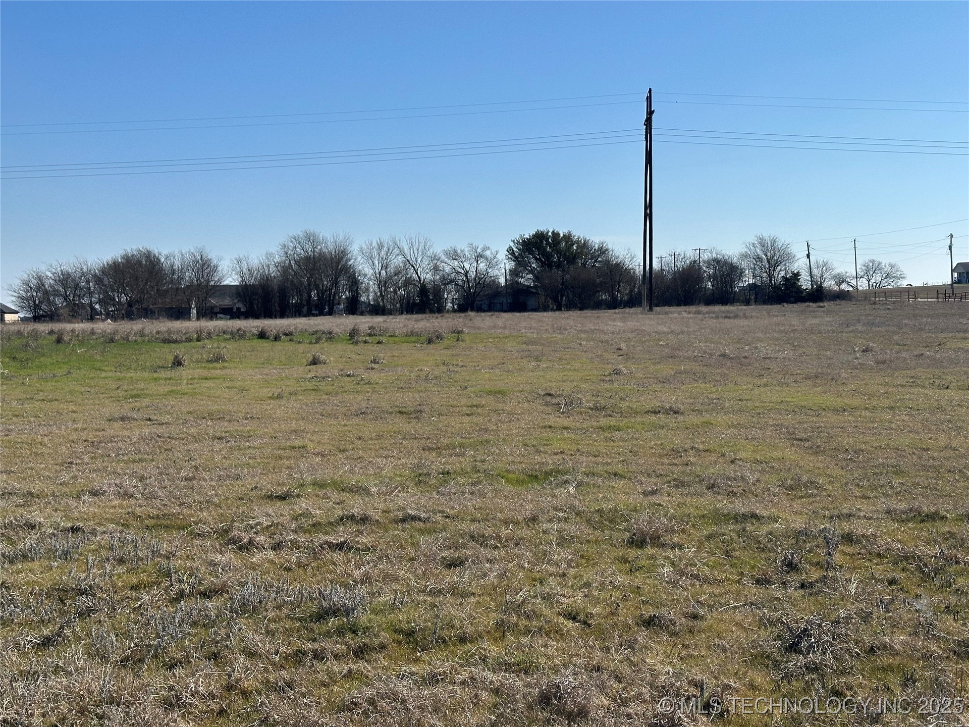 Orchard Property Photo 4