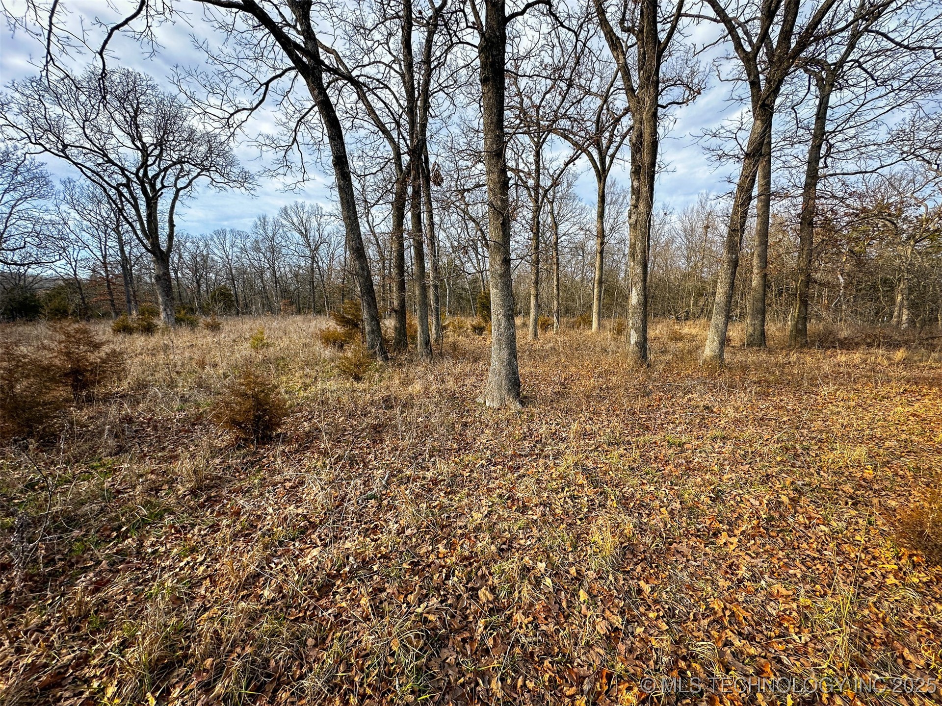 17083 Ew 19 Road Property Photo 55