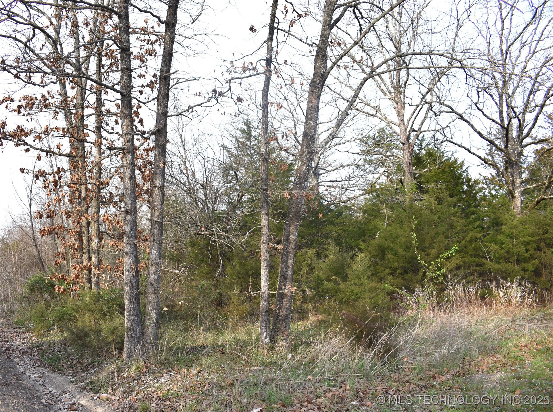 1 Sweet Gum Drive Property Photo