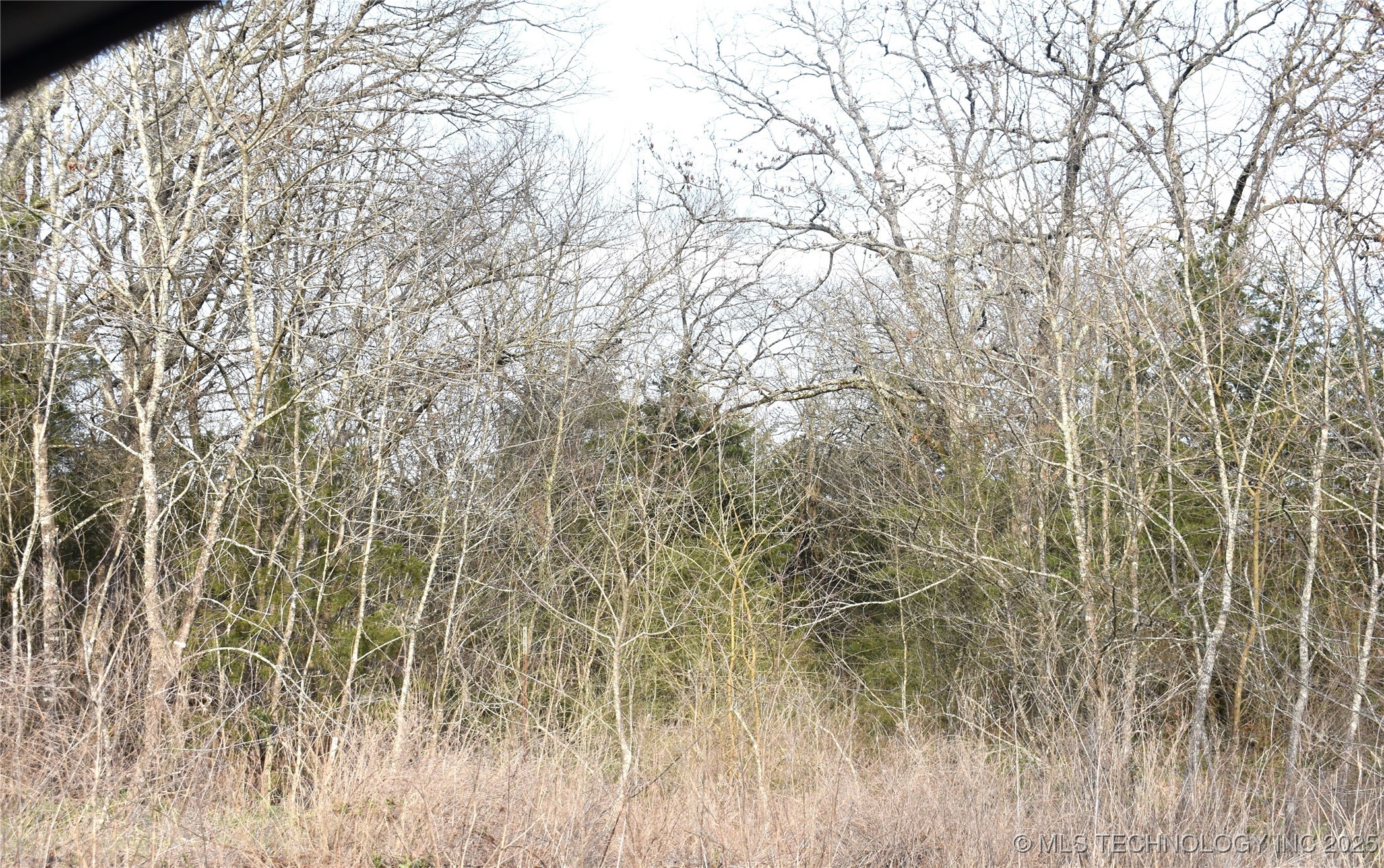 1 Sweet Gum Drive Property Photo 3