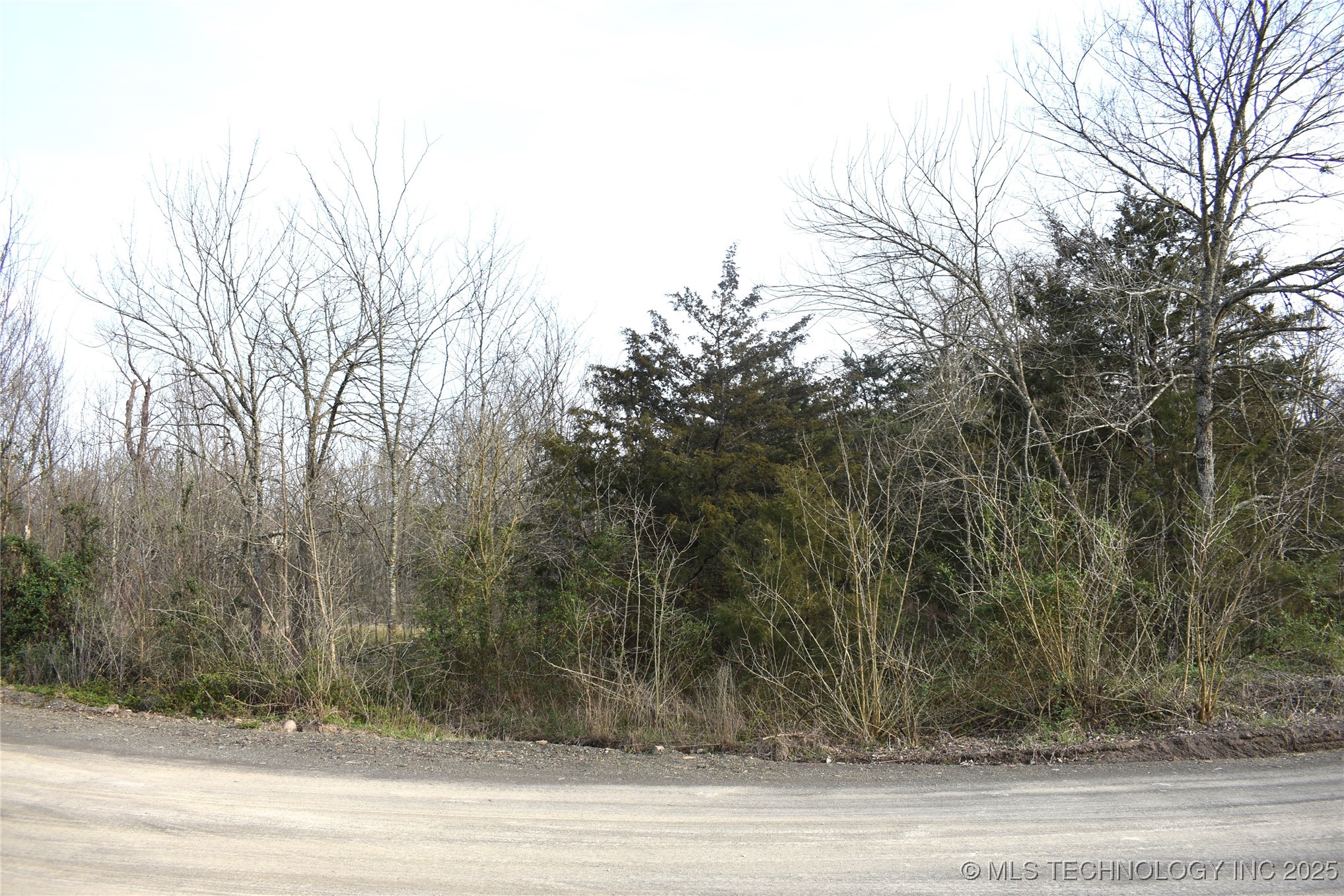 1 Sweet Gum Drive Property Photo 6