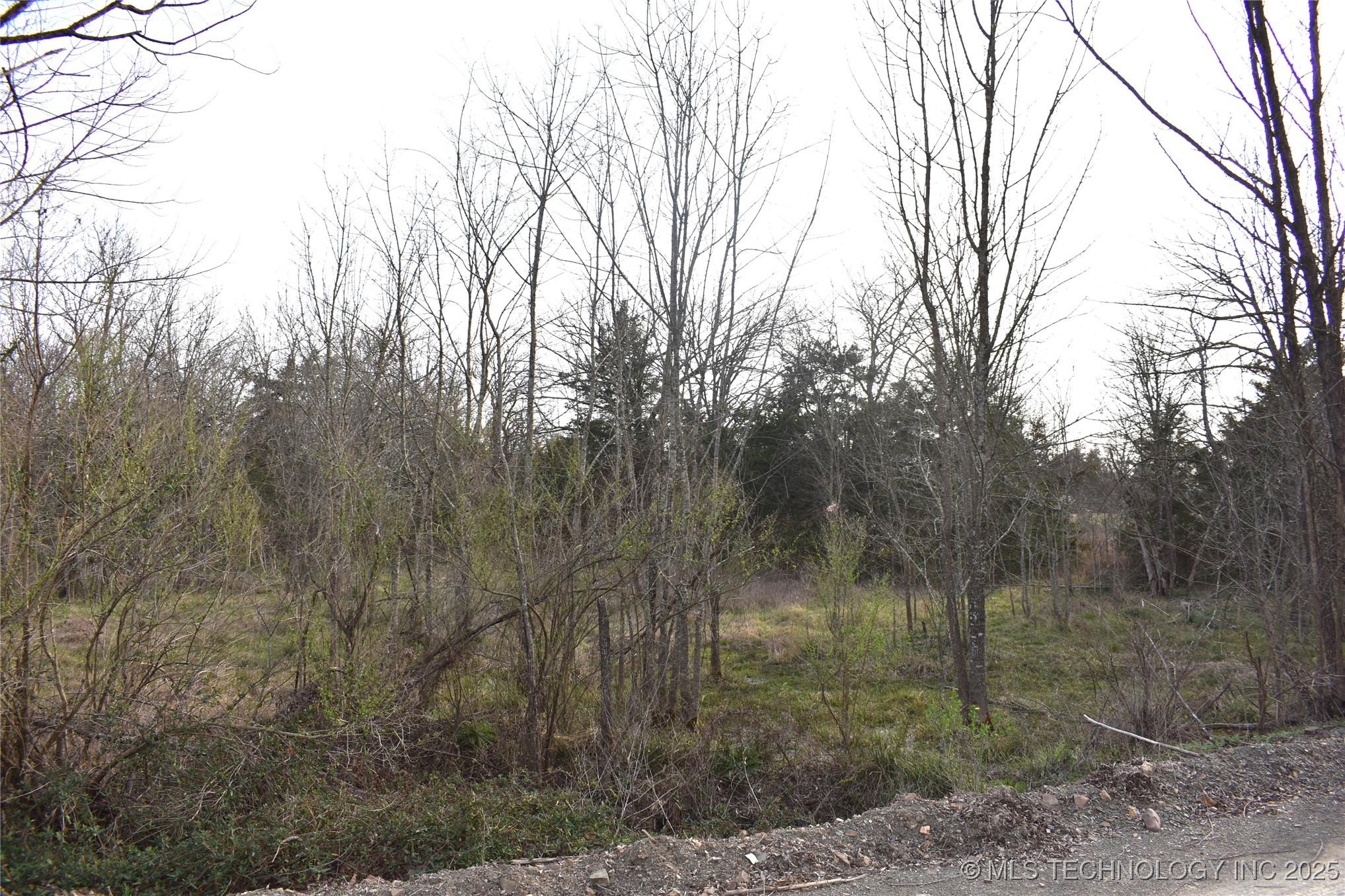 1 Sweet Gum Drive Property Photo 7