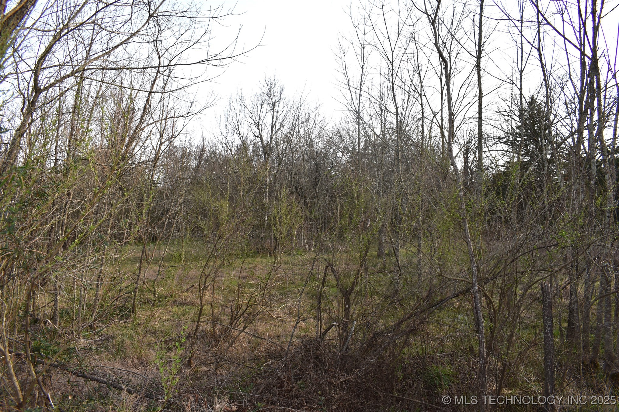 1 Sweet Gum Drive Property Photo 9